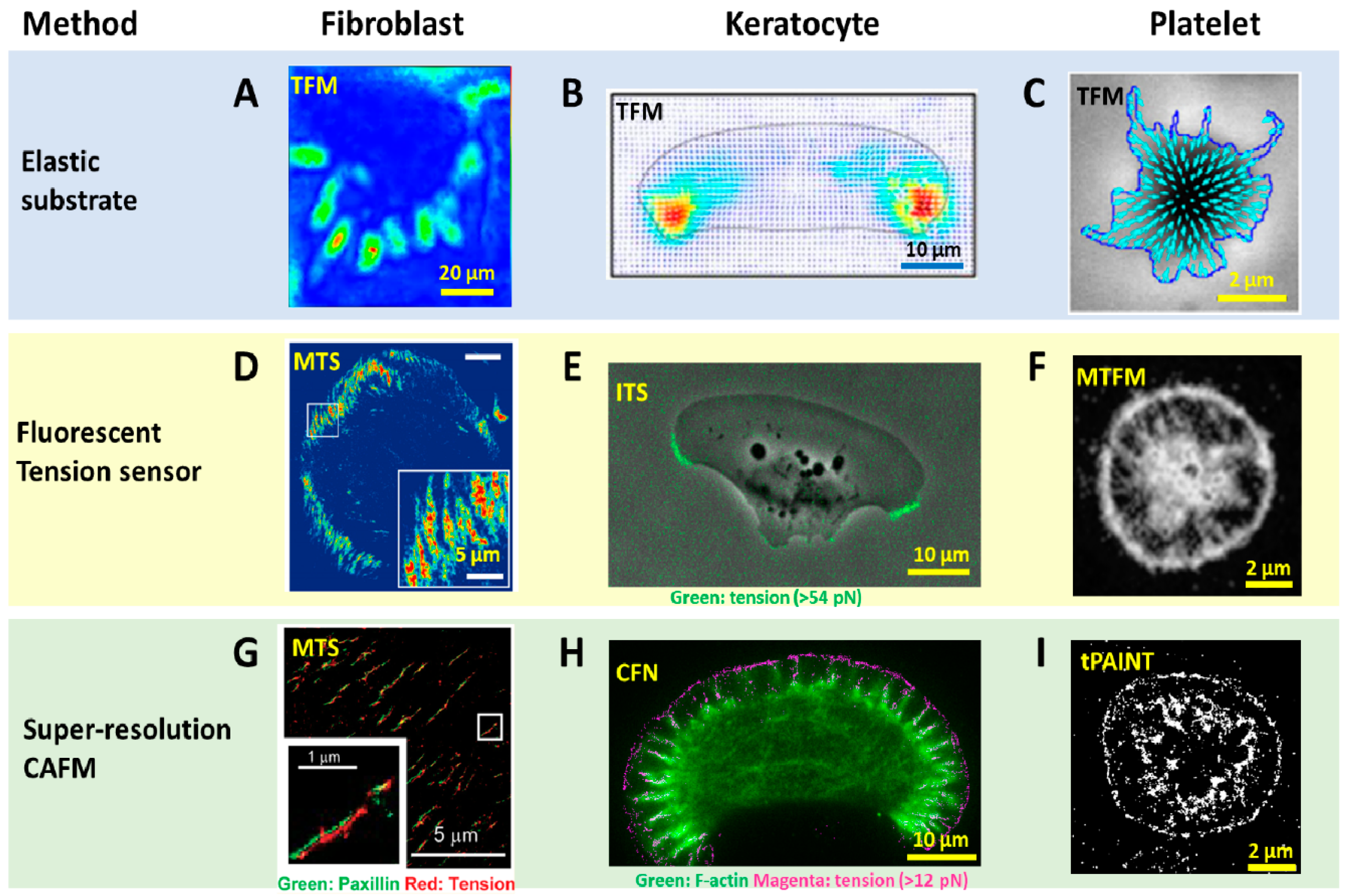 Sensors 20 07128 g002 Sensors 20 07128 g002