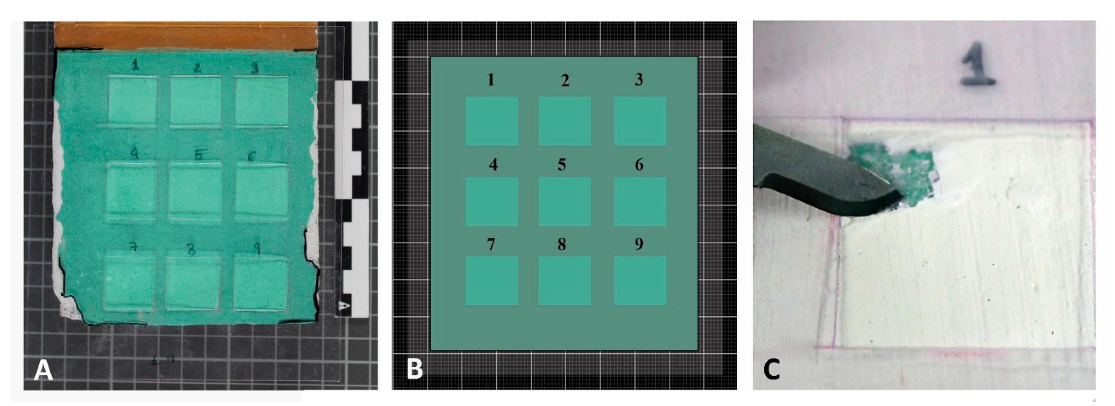 Sensors 20 07147 g003