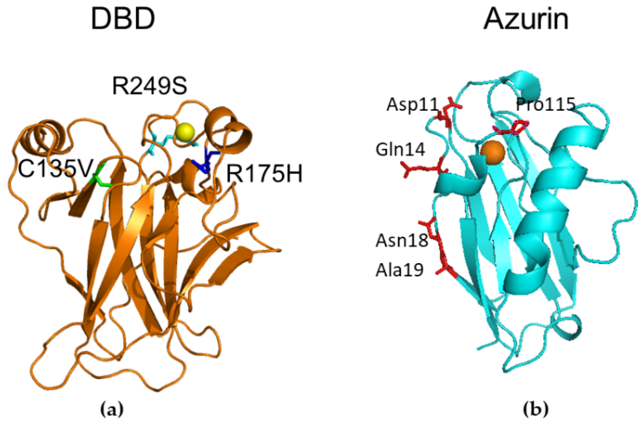 Sensors 20 07153 g001 Sensors 20 07153 g001
