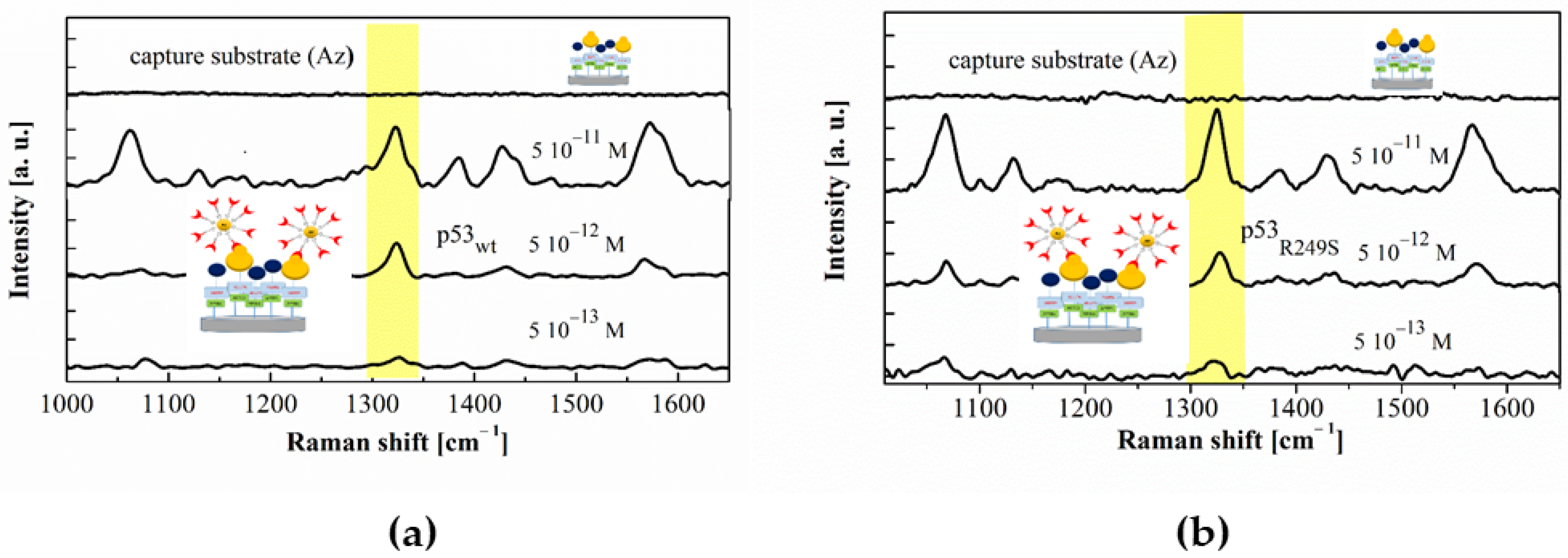 Sensors 20 07153 g006 Sensors 20 07153 g006