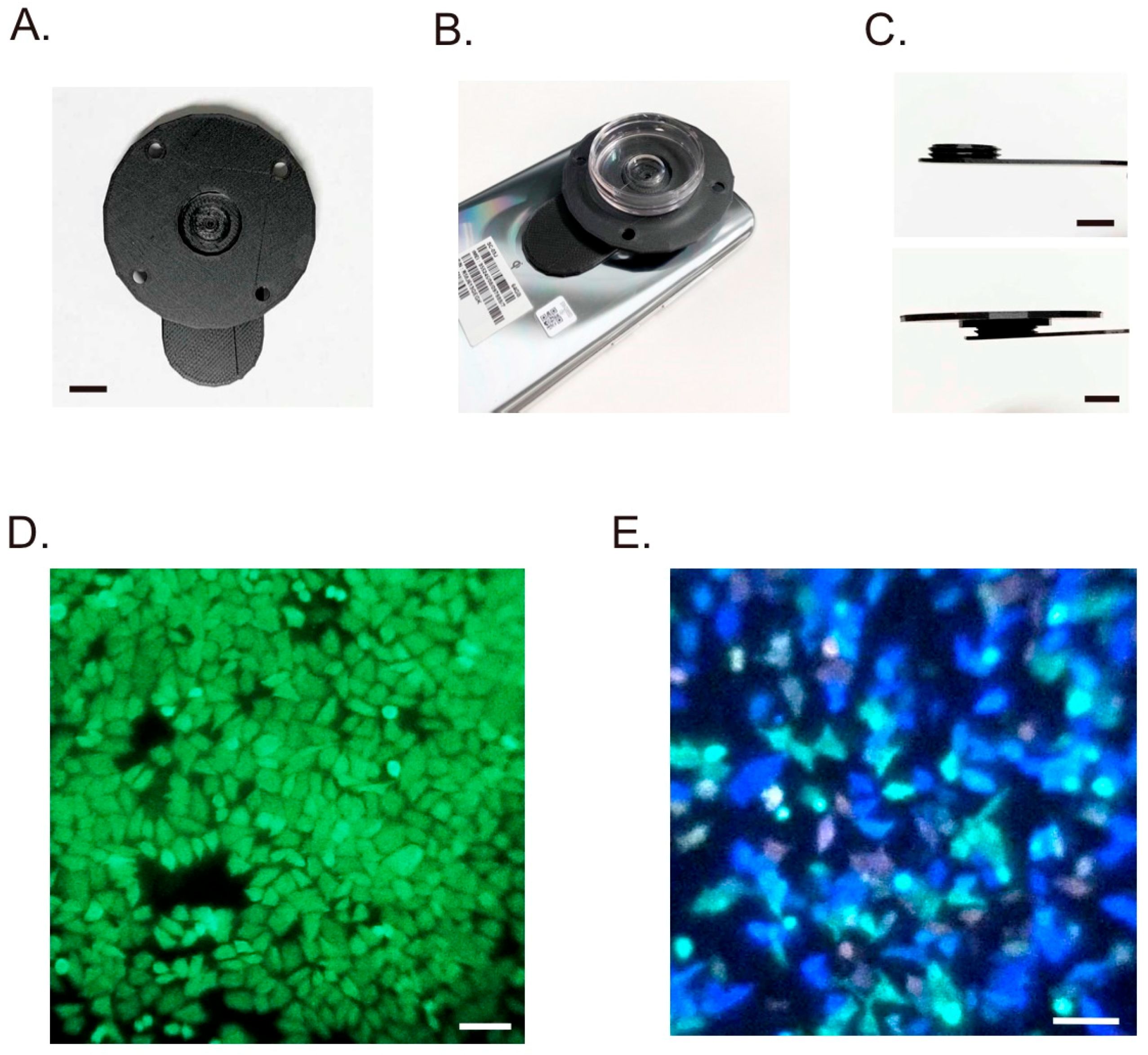 Sensors 20 07166 g002