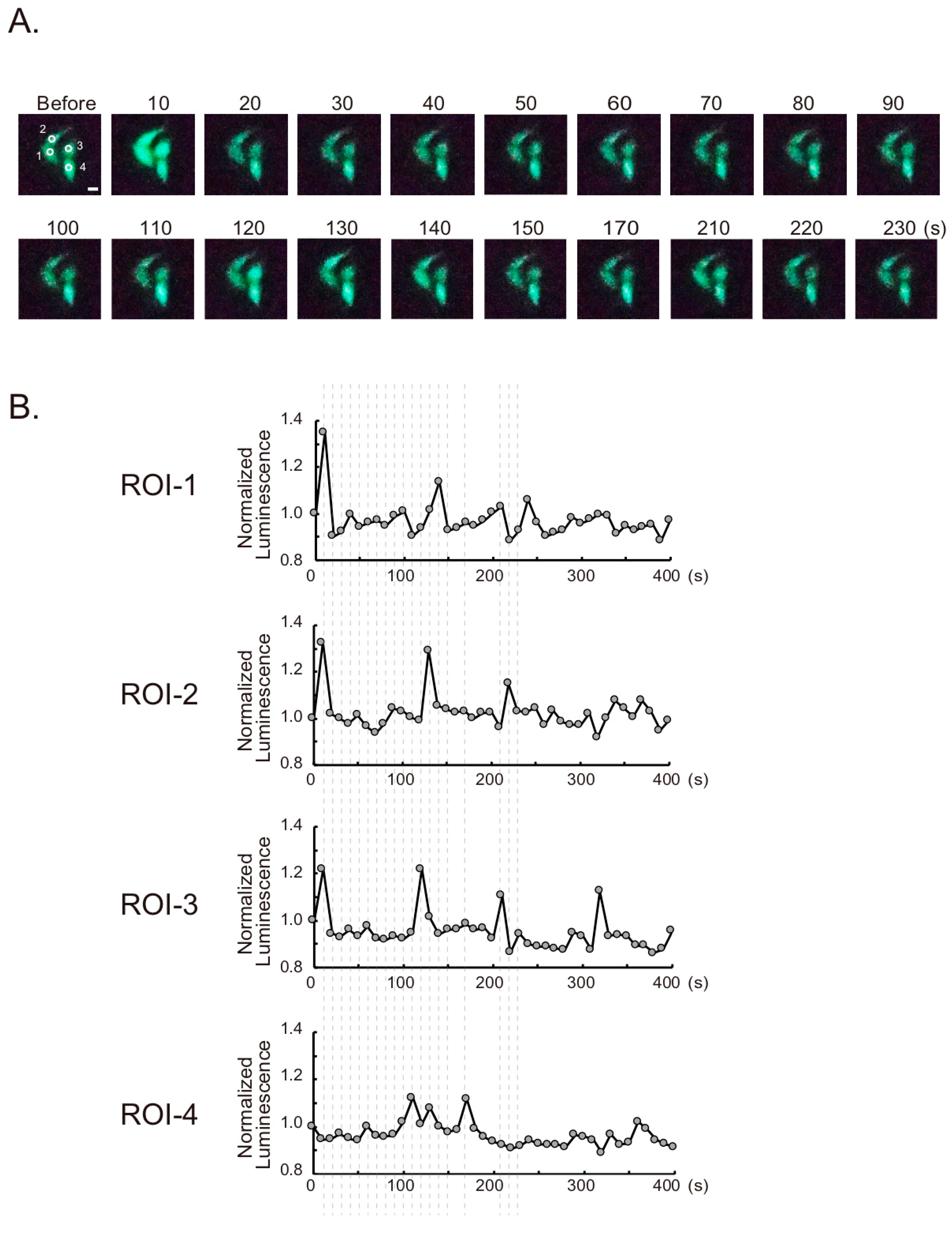 Sensors 20 07166 g003