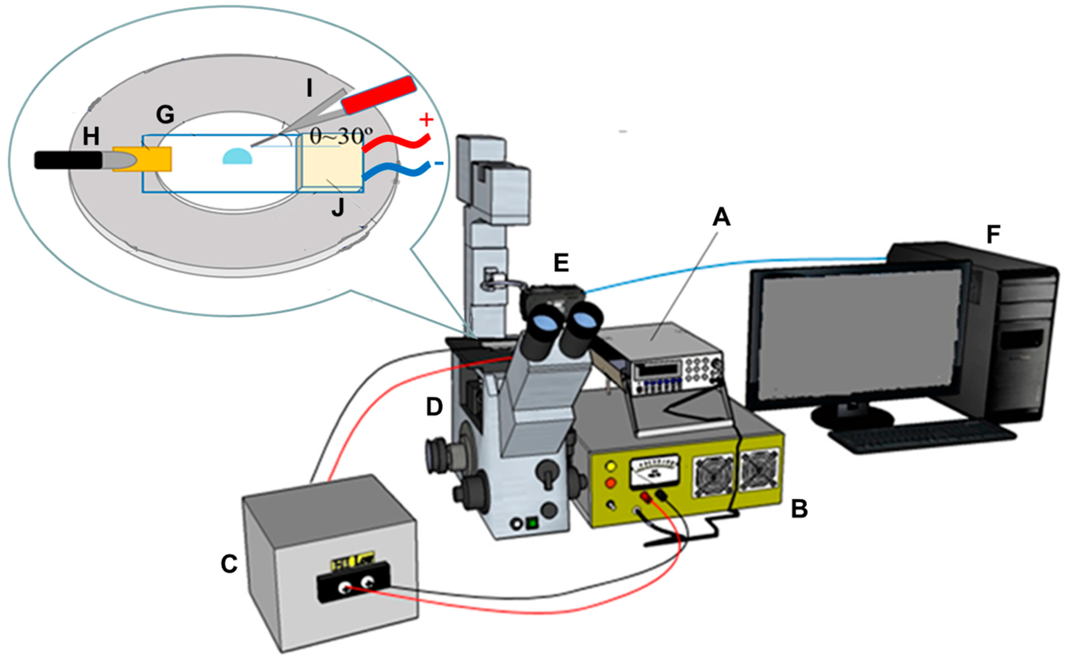 Sensors 20 07177 g001