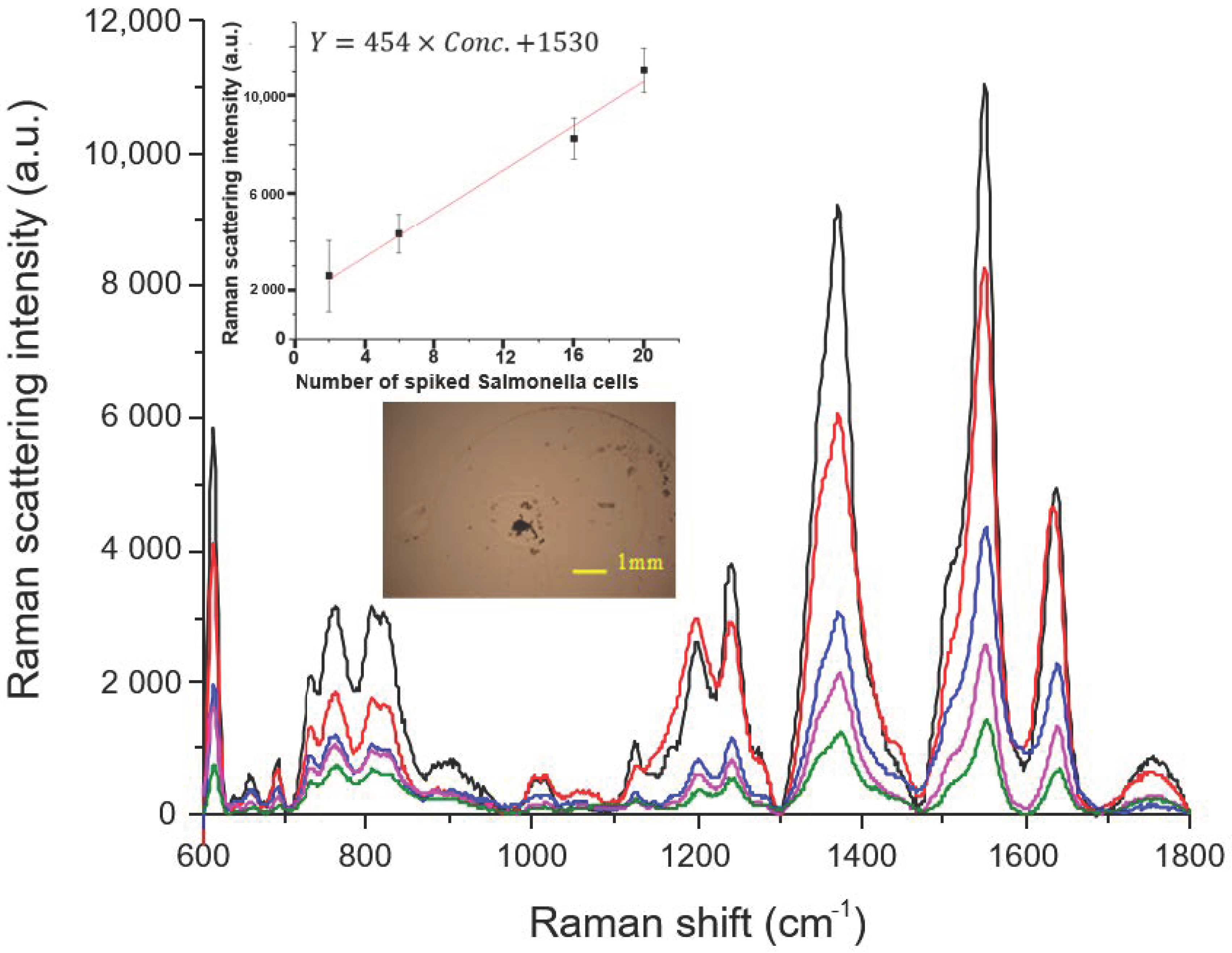 Sensors 20 07177 g003
