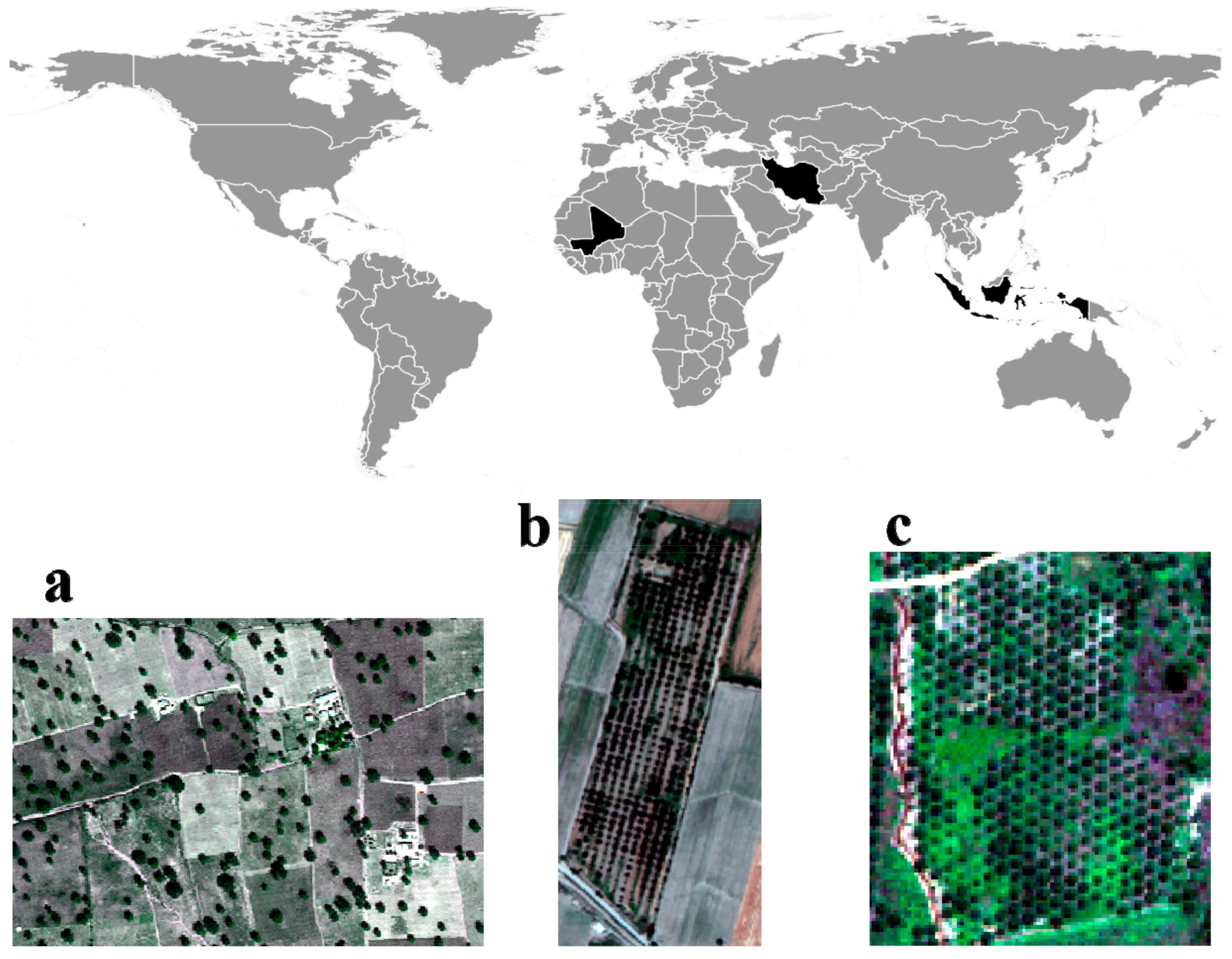 Sensors 20 07194 g005