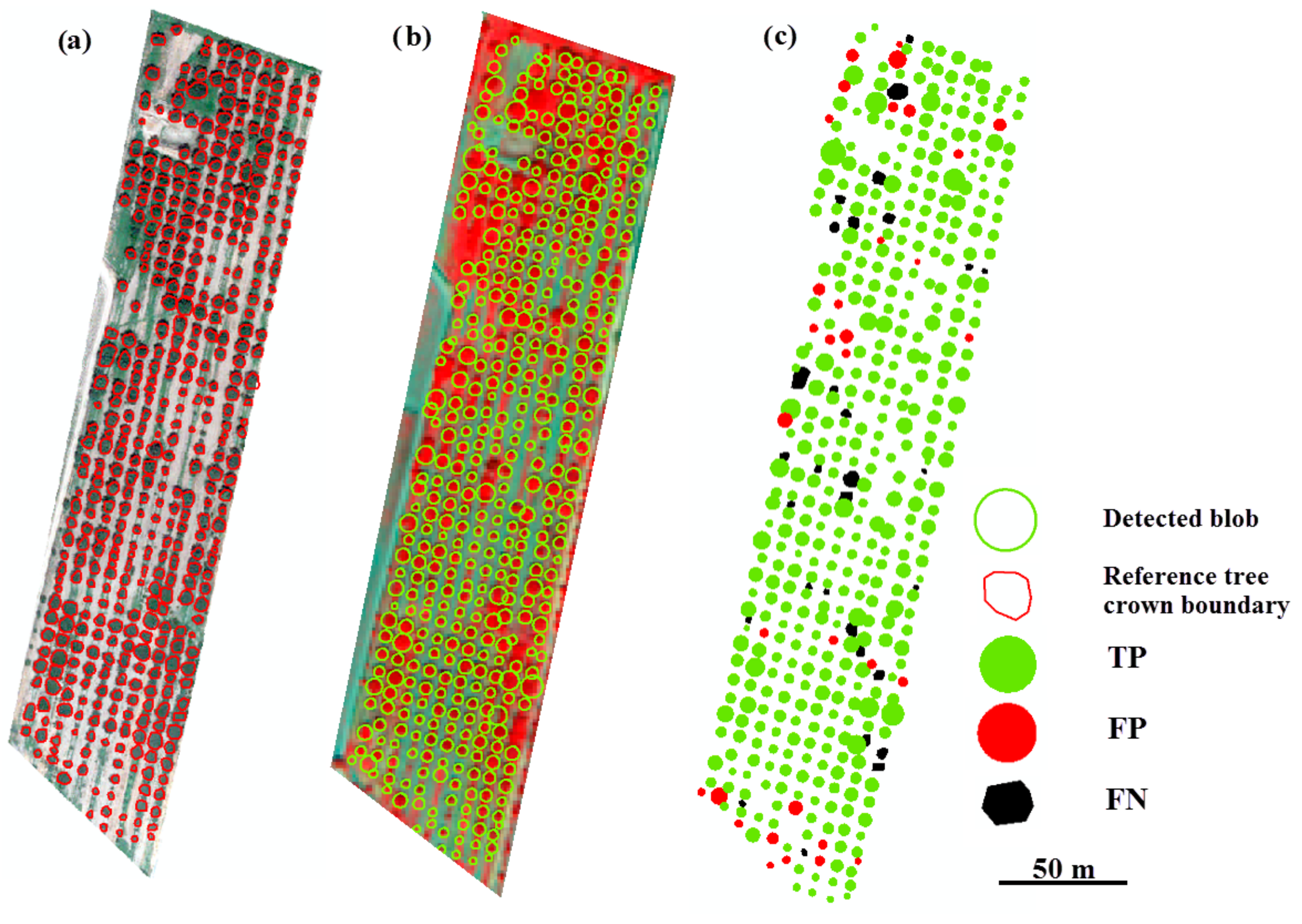 Sensors 20 07194 g007