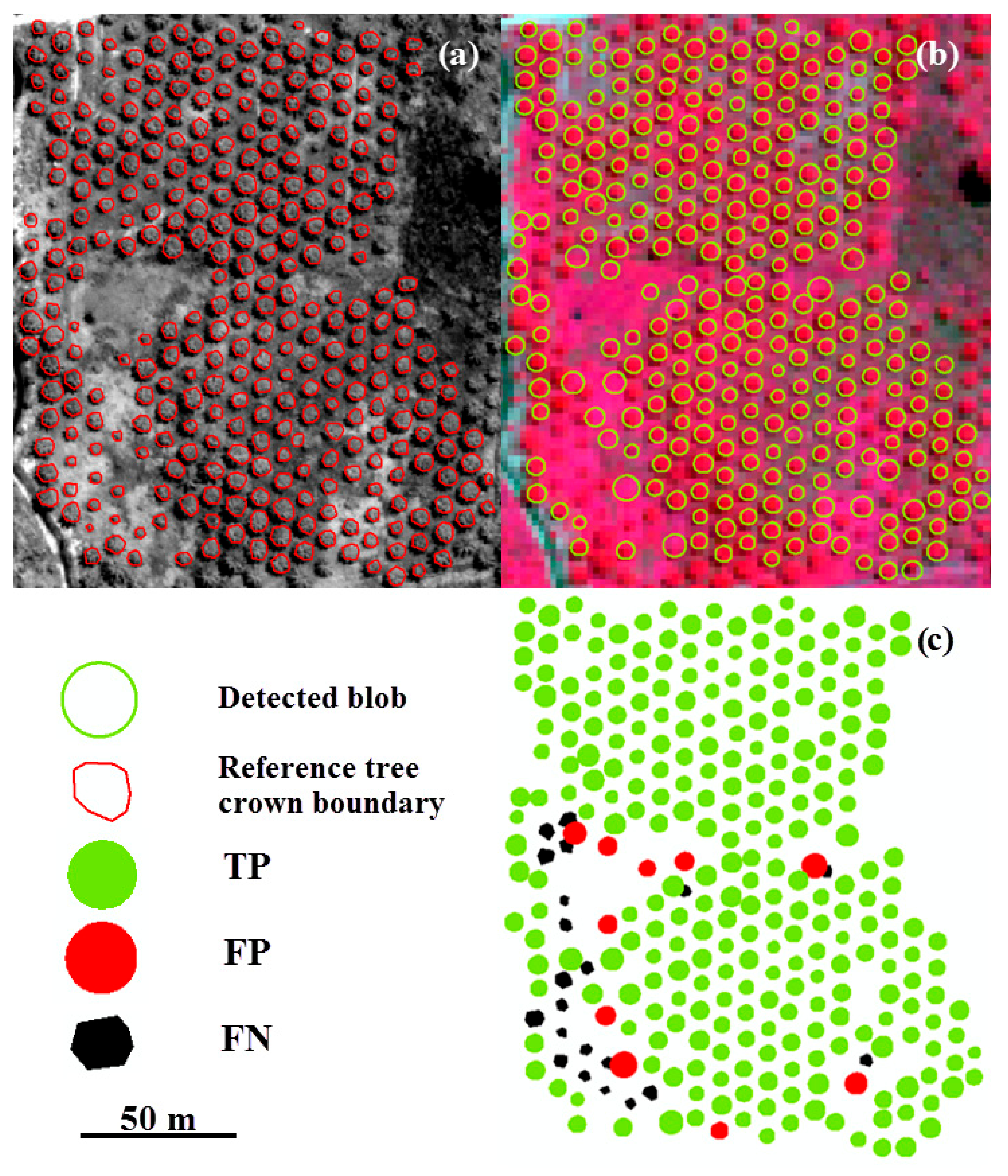 Sensors 20 07194 g008