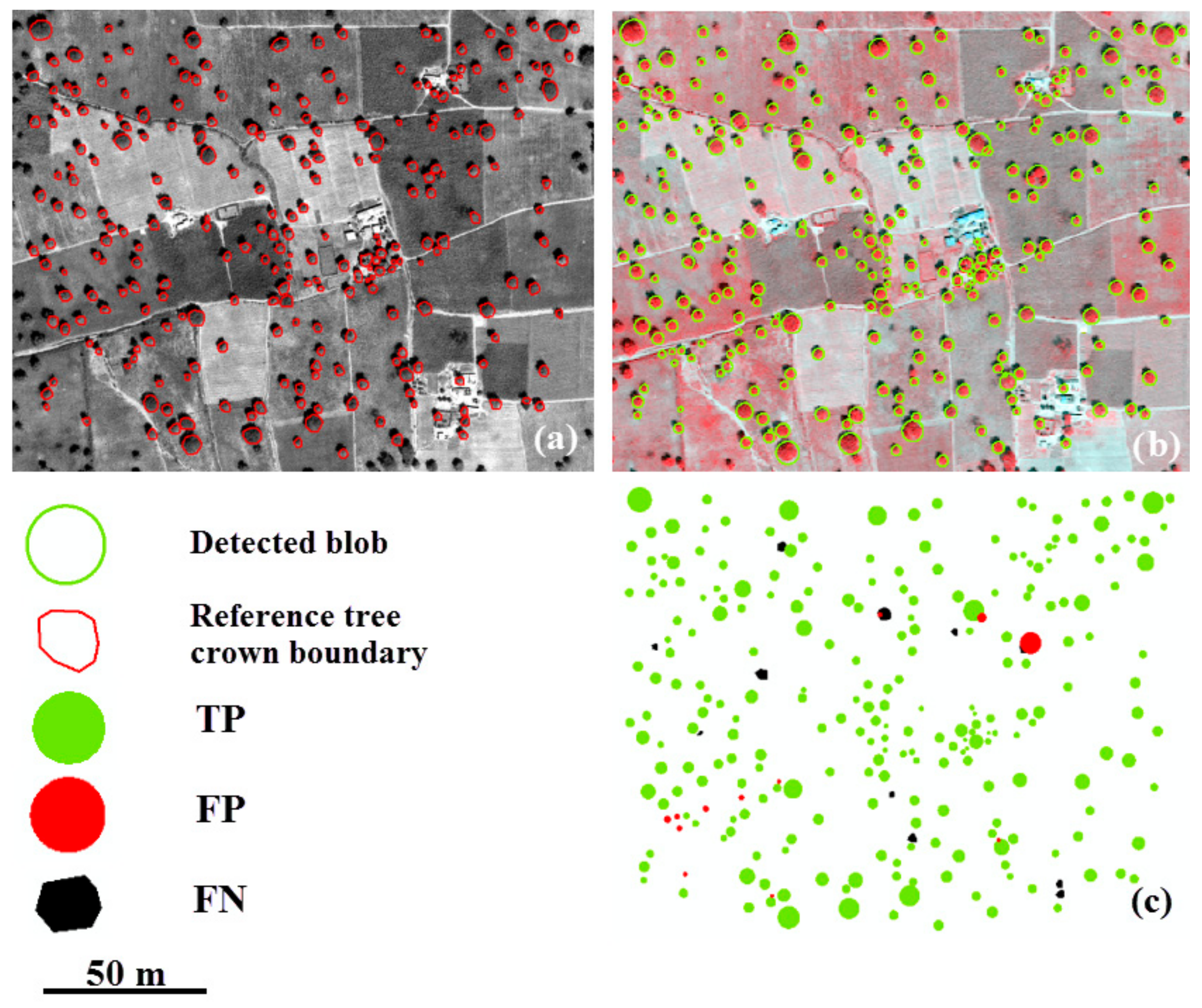 Sensors 20 07194 g009