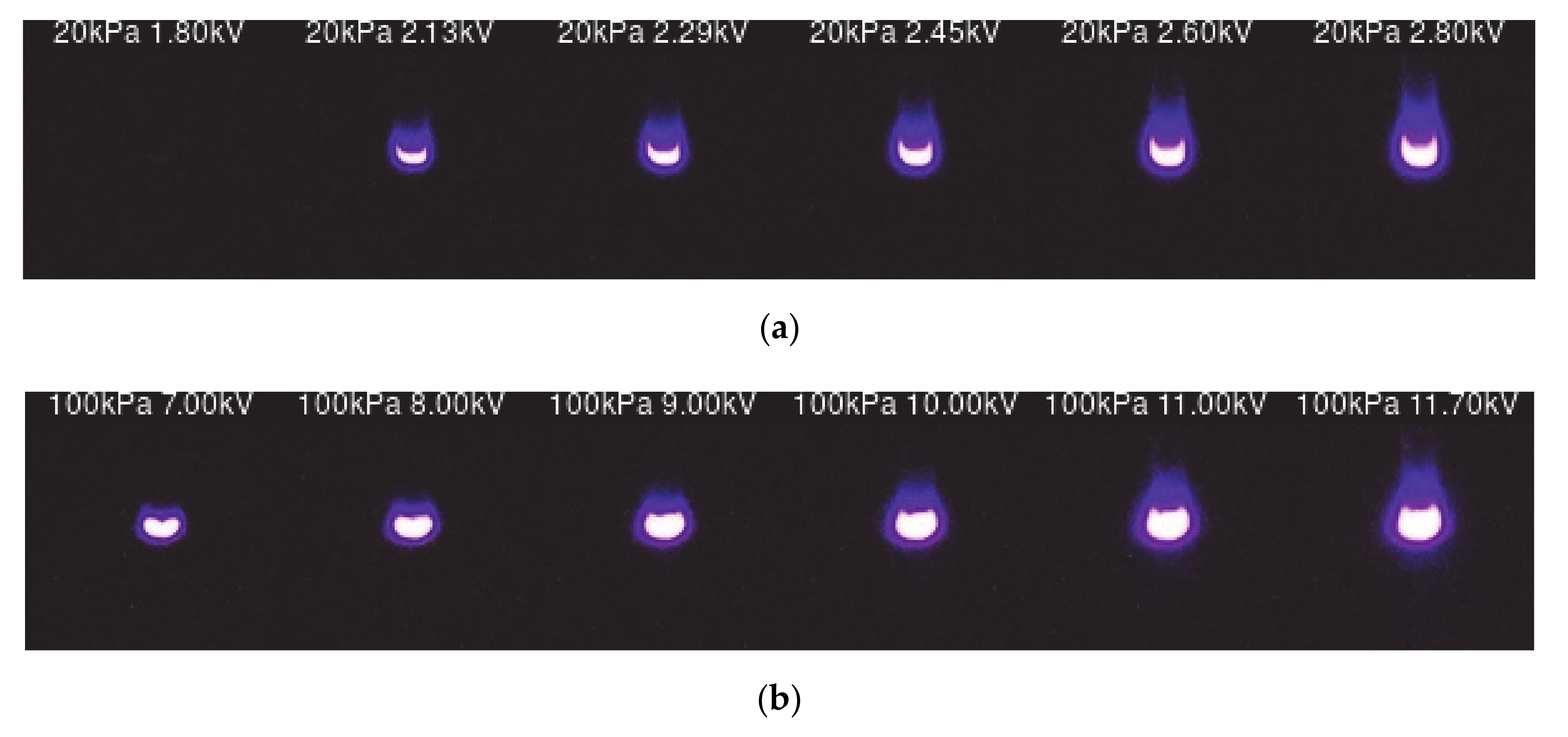 Sensors 20 07219 g004 Sensors 20 07219 g004