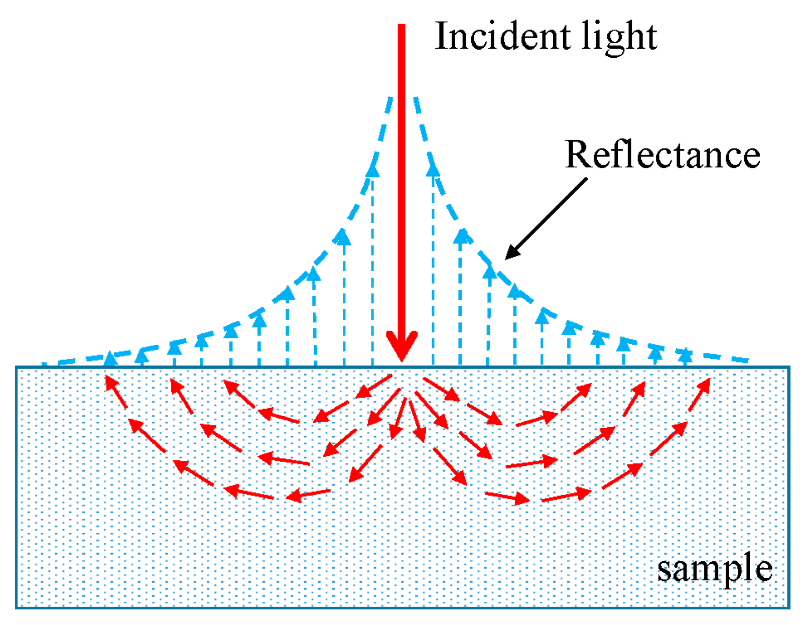 Sensors 20 07229 g001