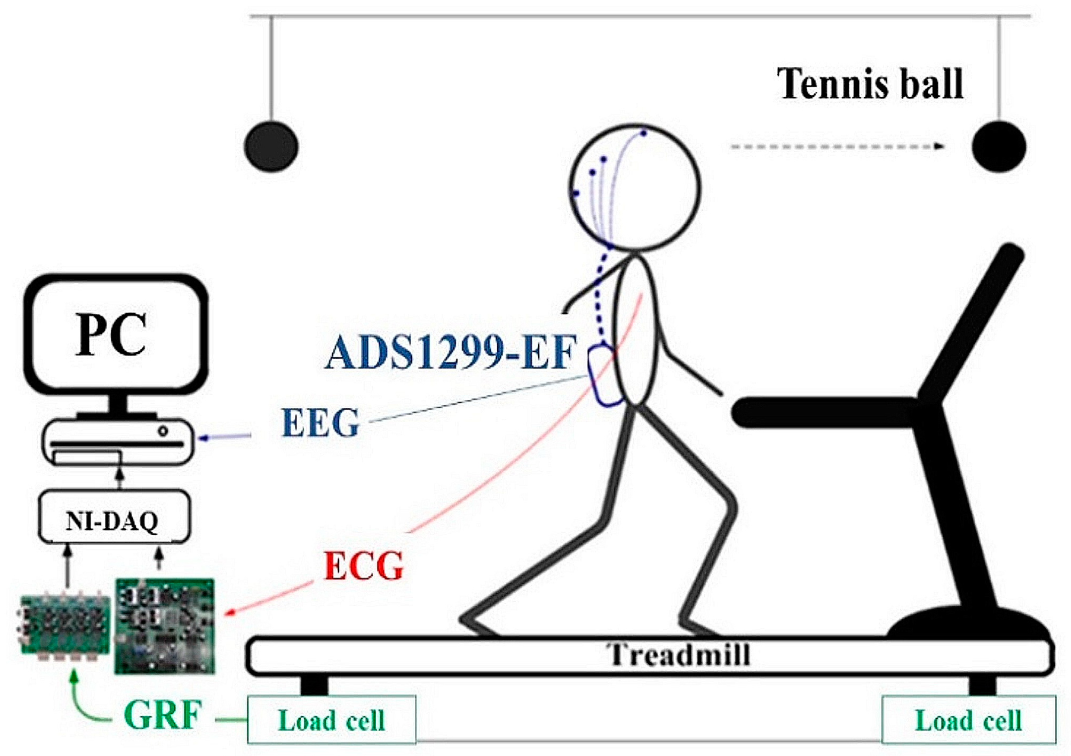 洋書 MEDIATING MOBILITY Amazon.com: HONEYSEW Electronic Foot Control W/Cord (979314