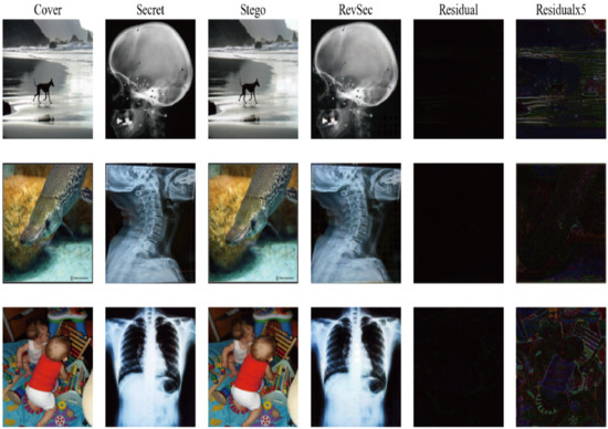 High-Capacity Image Steganography Based on Improved Xception
