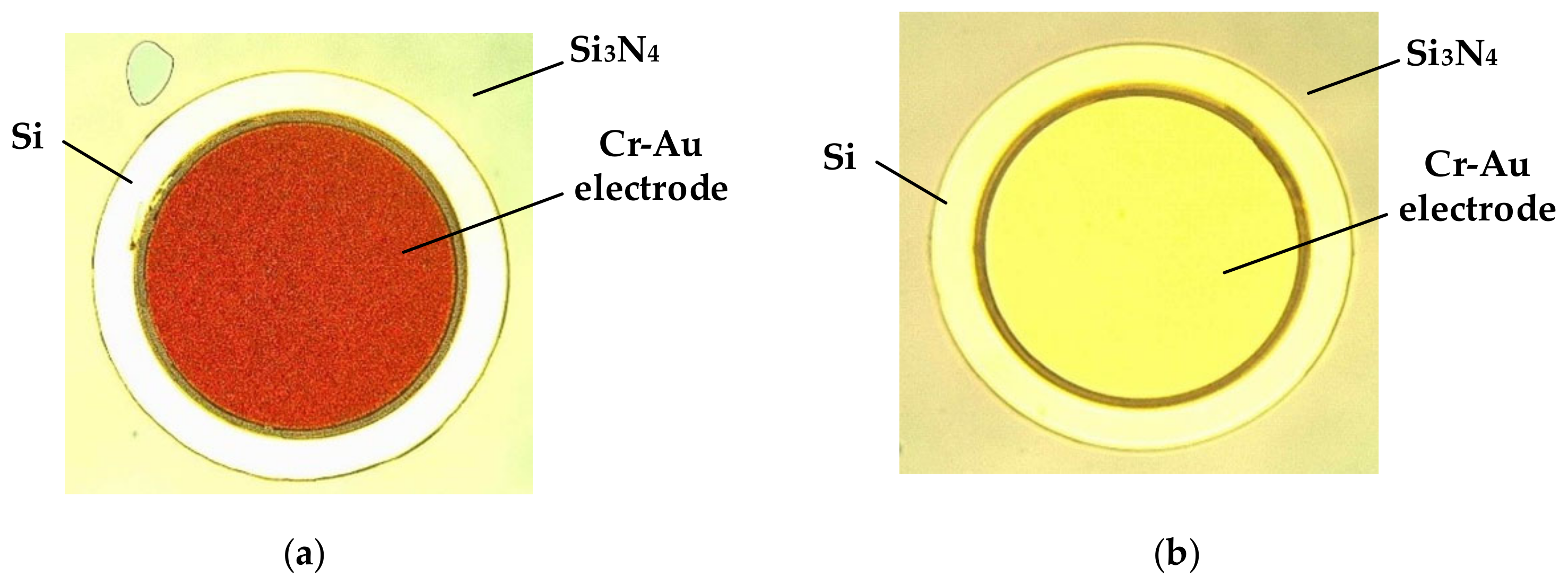 Sensors 20 07264 g016 Sensors 20 07264 g016
