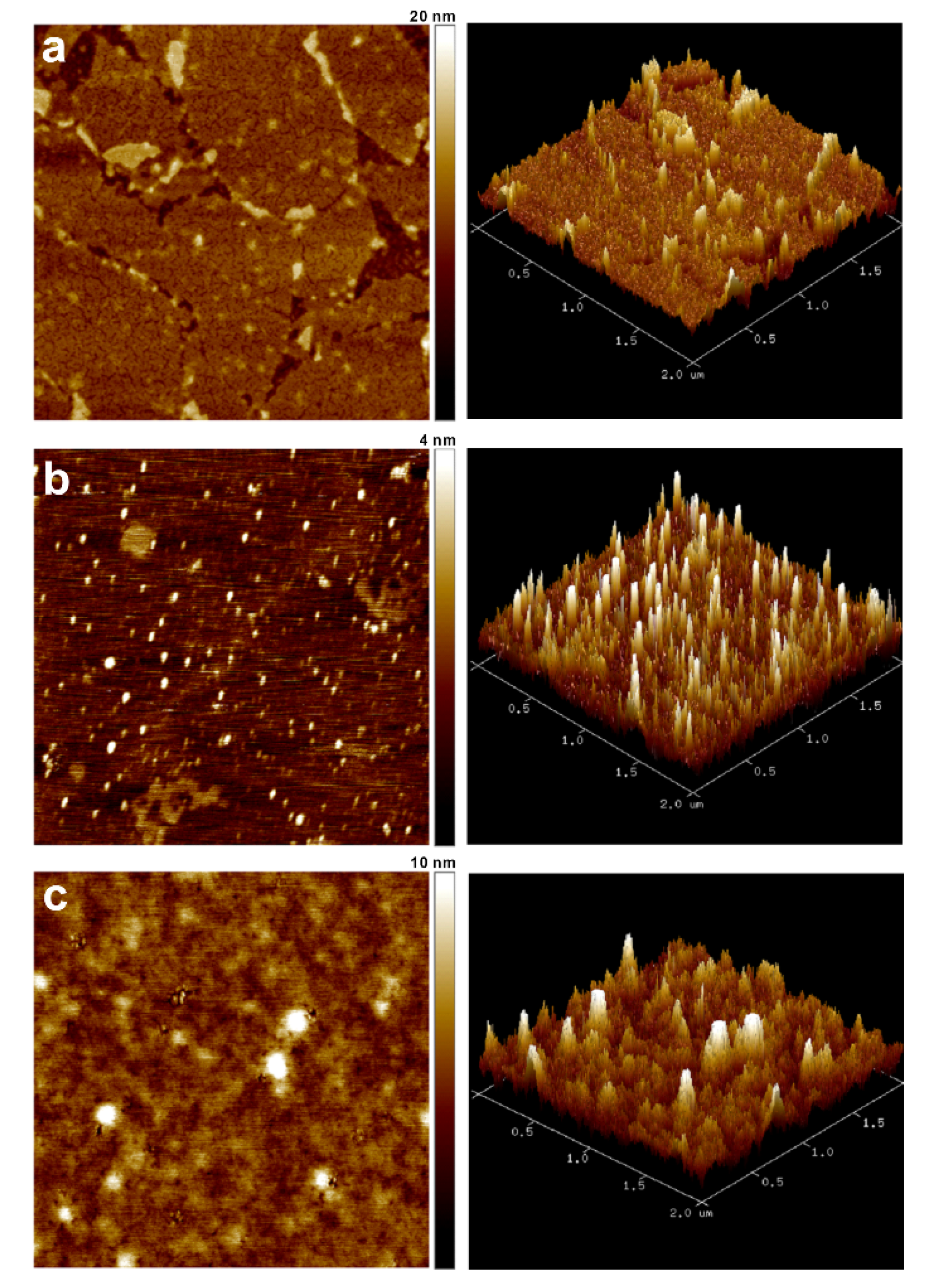 Sensors 20 07274 g004 Sensors 20 07274 g004