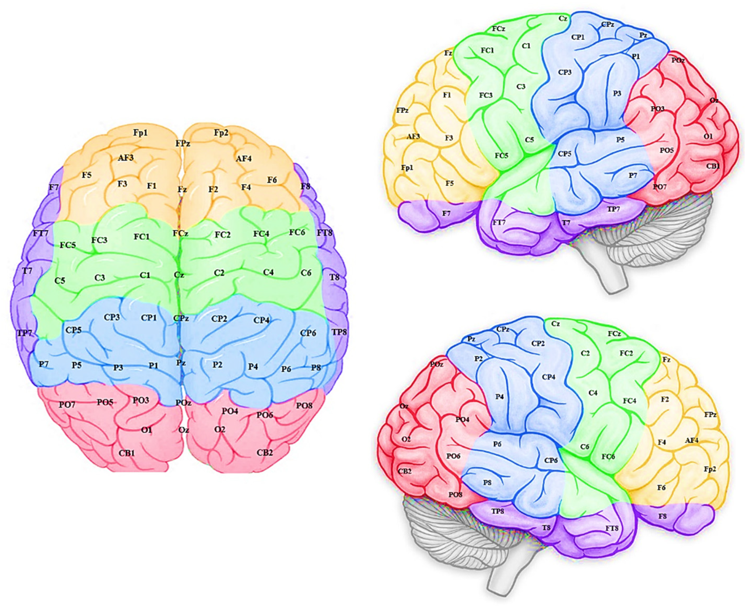 Sensors 20 07354 g005 Sensors 20 07354 g005