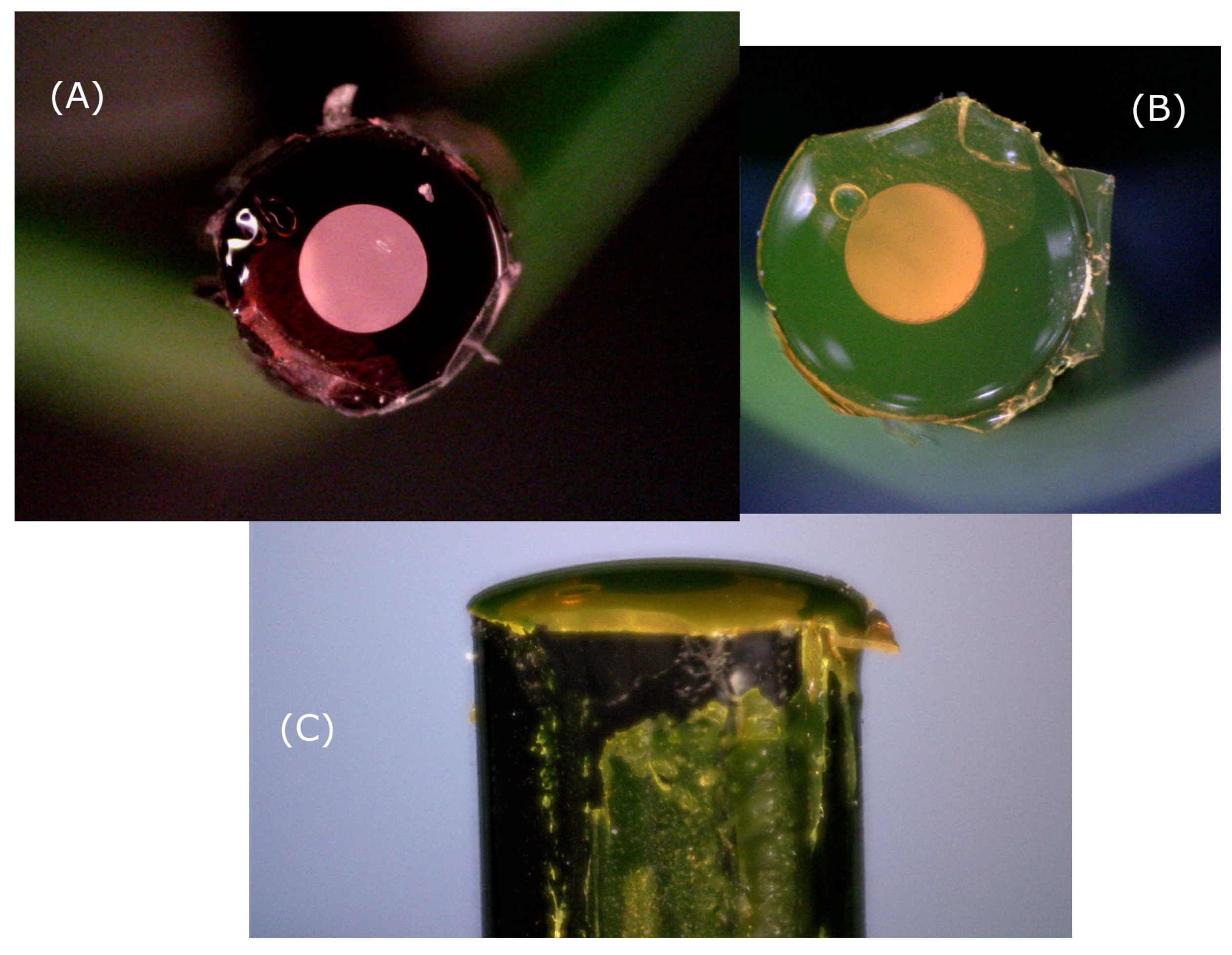 Sensors 21 00005 g006