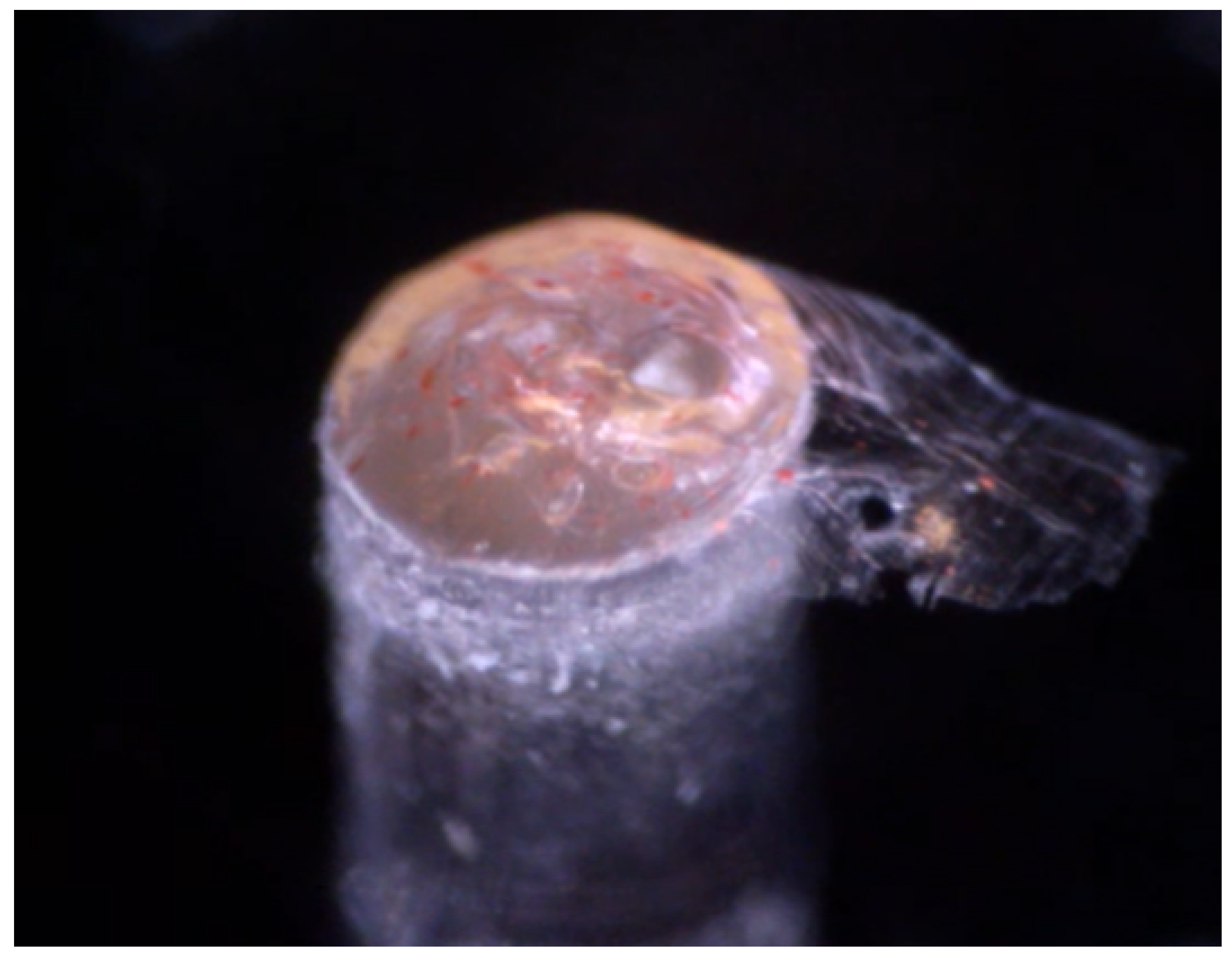 Sensors 21 00005 g007