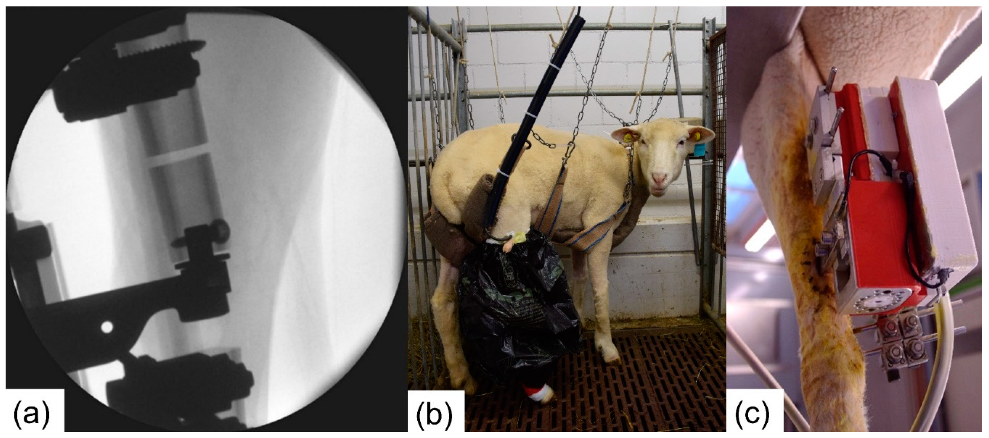 Sensors 21 00017 g005