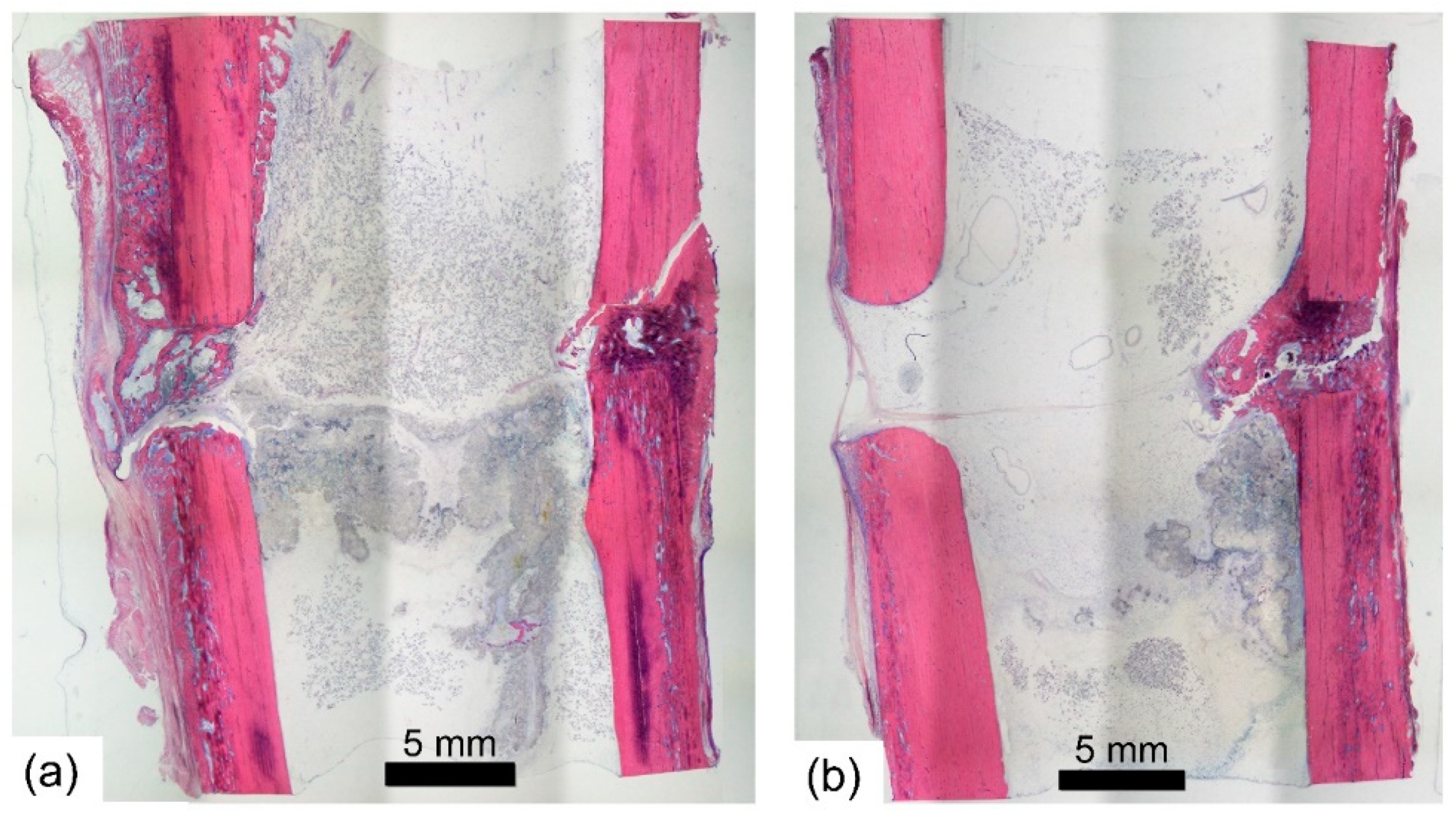 Sensors 21 00017 g008