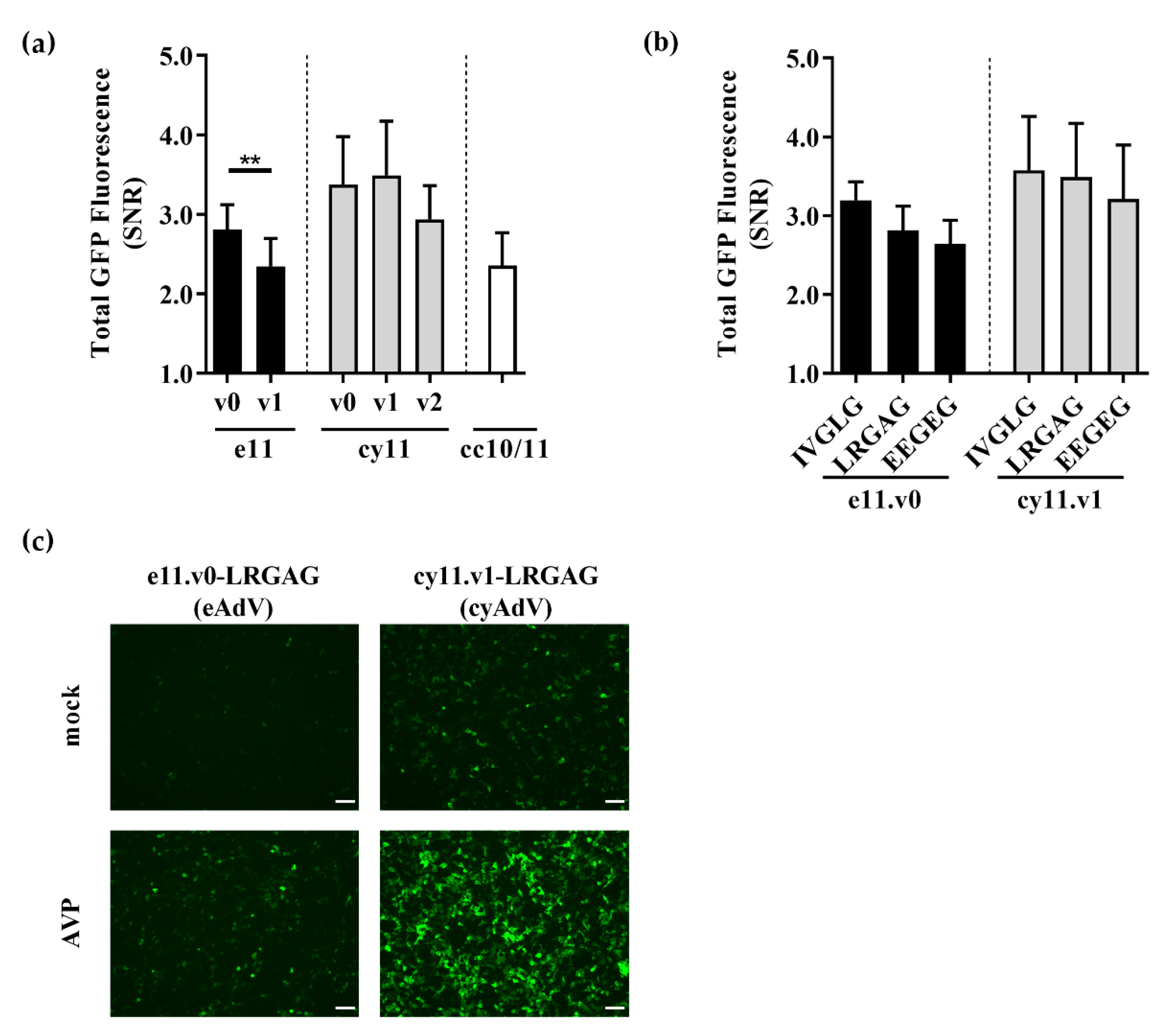 Sensors 21 00024 g002 Sensors 21 00024 g002