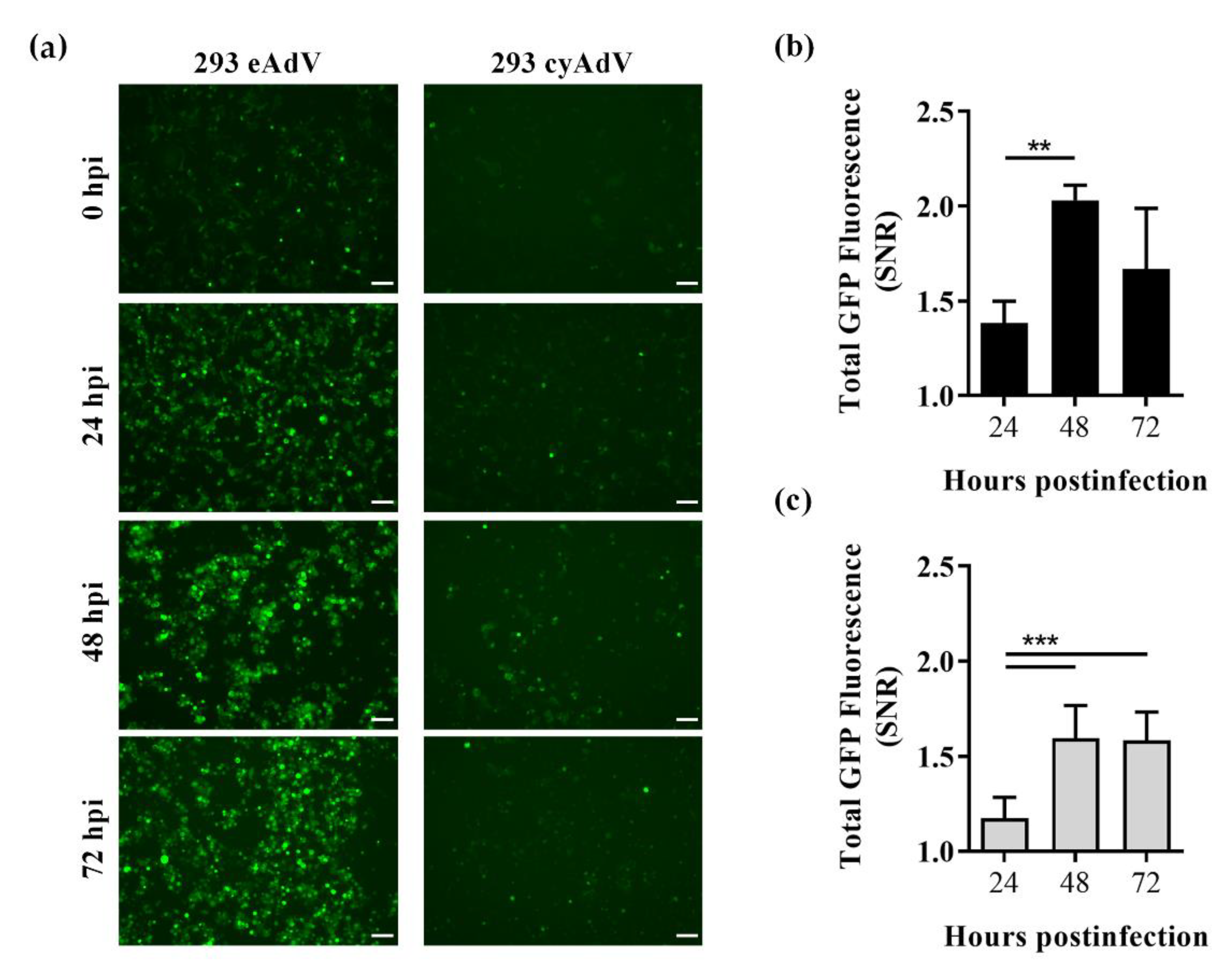 Sensors 21 00024 g004 Sensors 21 00024 g004