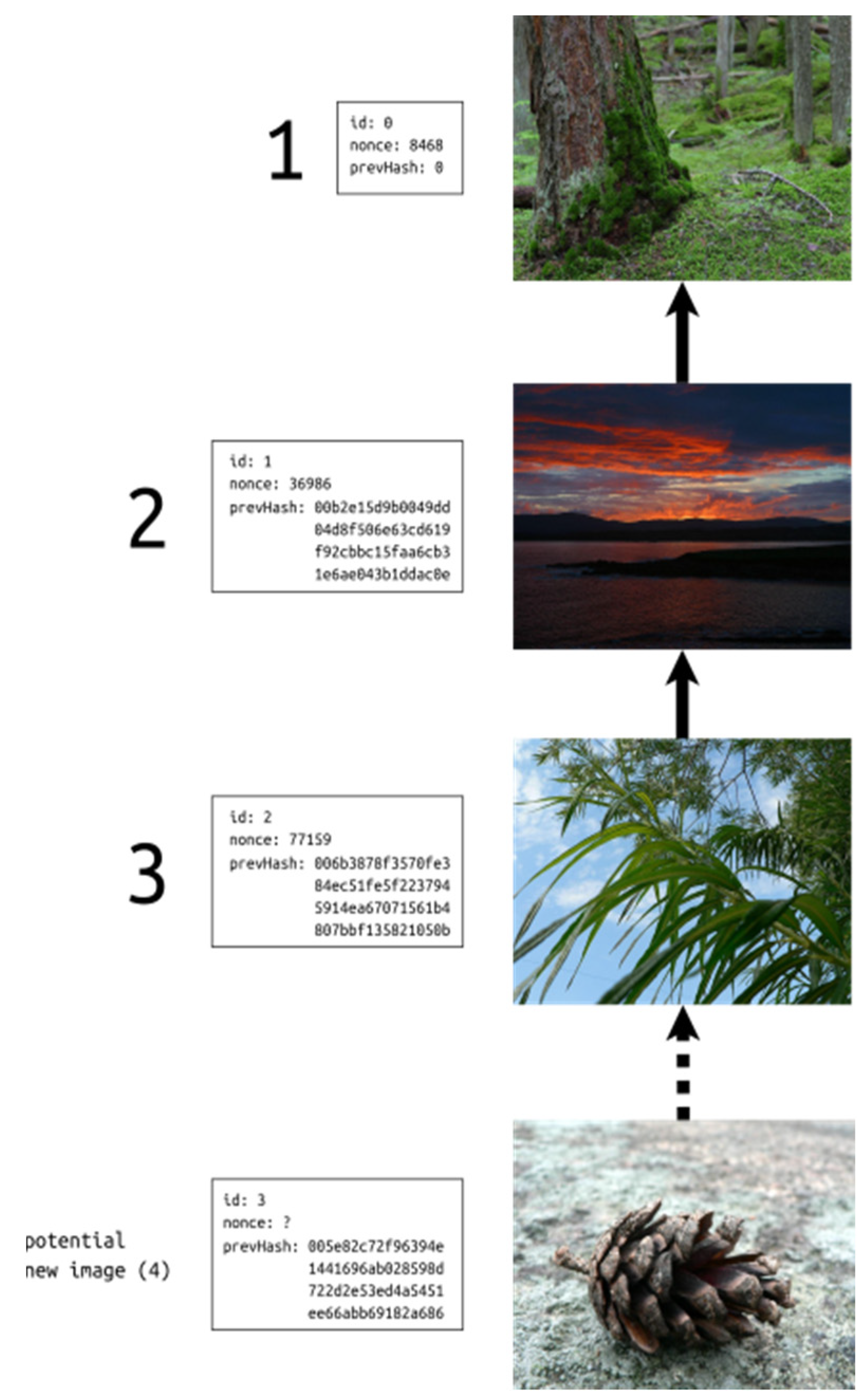 Sensors 21 00082 g002