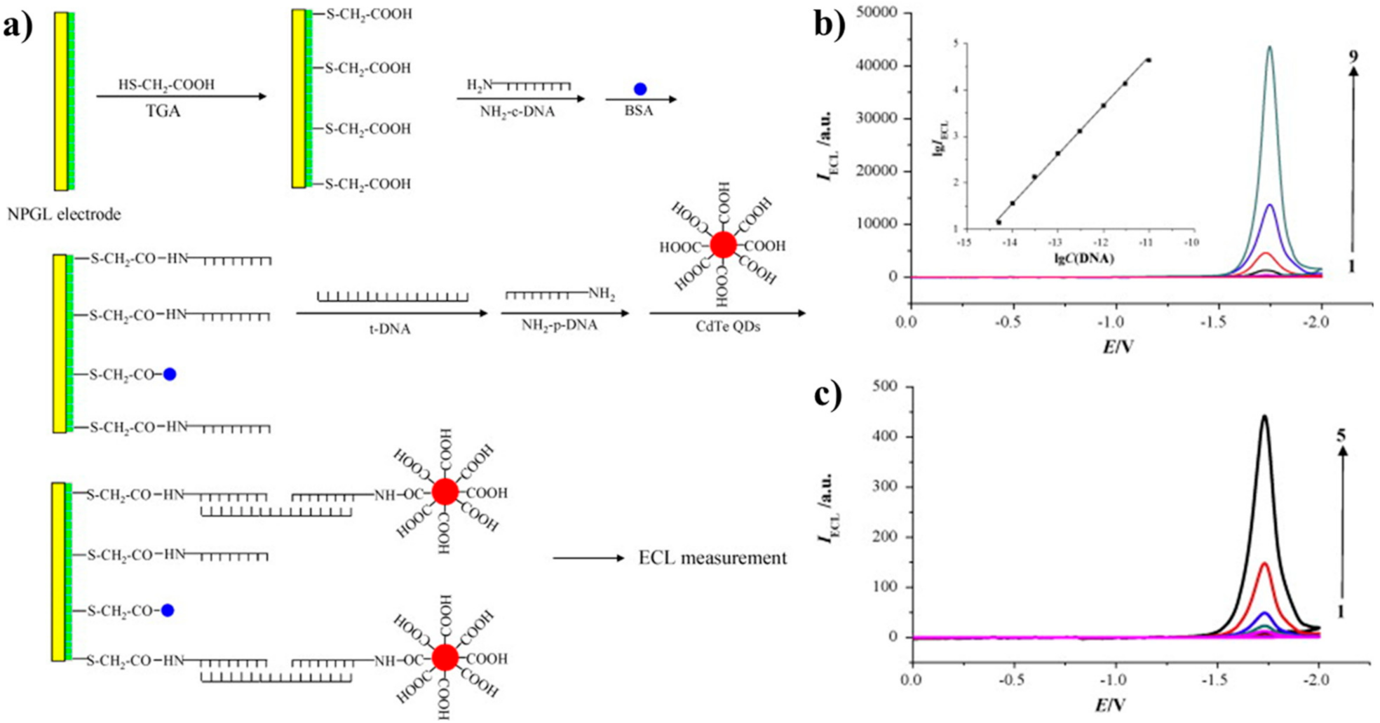 Sensors 21 00089 g007 Sensors 21 00089 g007