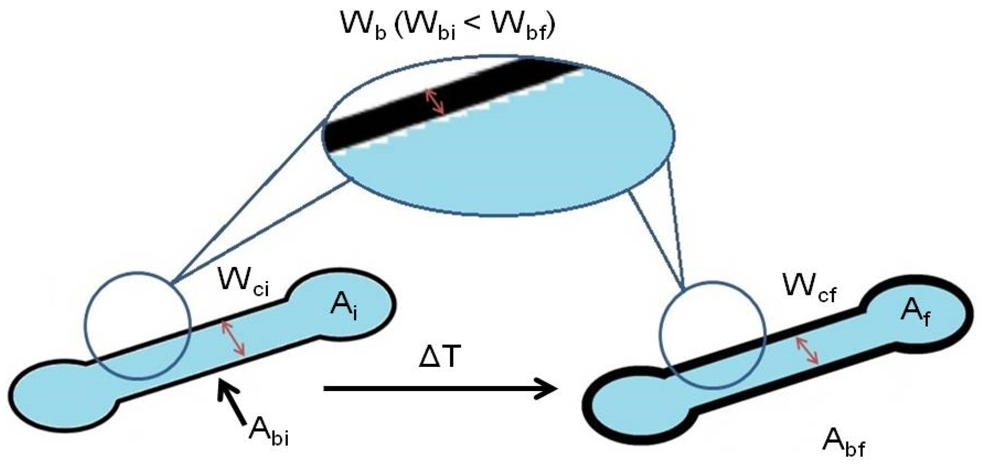 Sensors Free Full Text Predicting Dimensions In Microfluidic Paper Based Analytical Devices Html