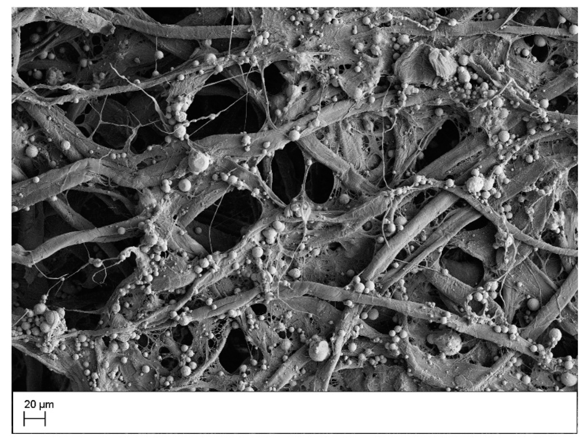 Sensors 21 00102 g001