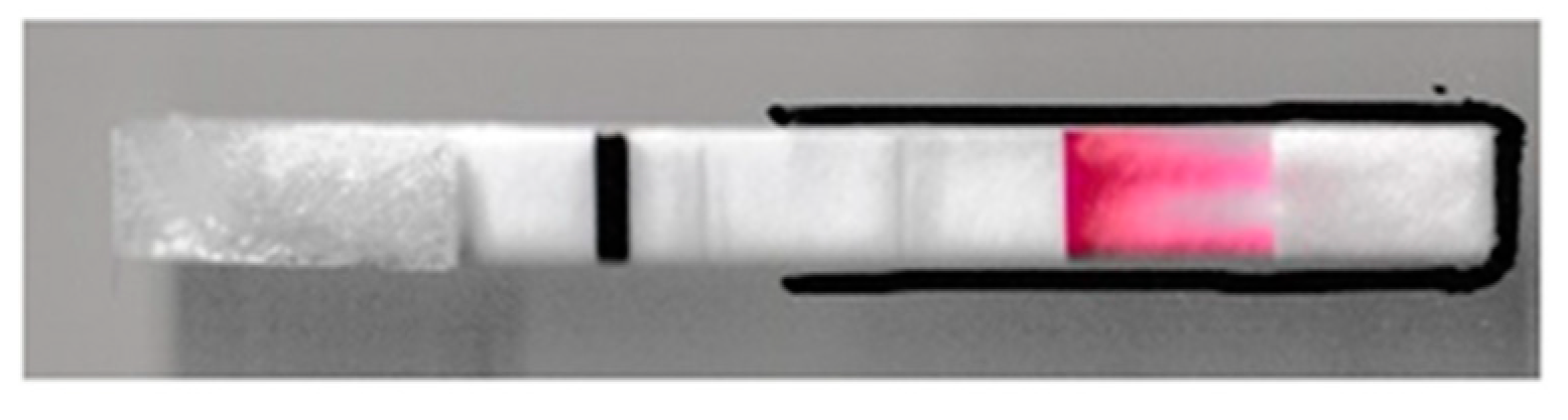 Sensors 21 00102 g005