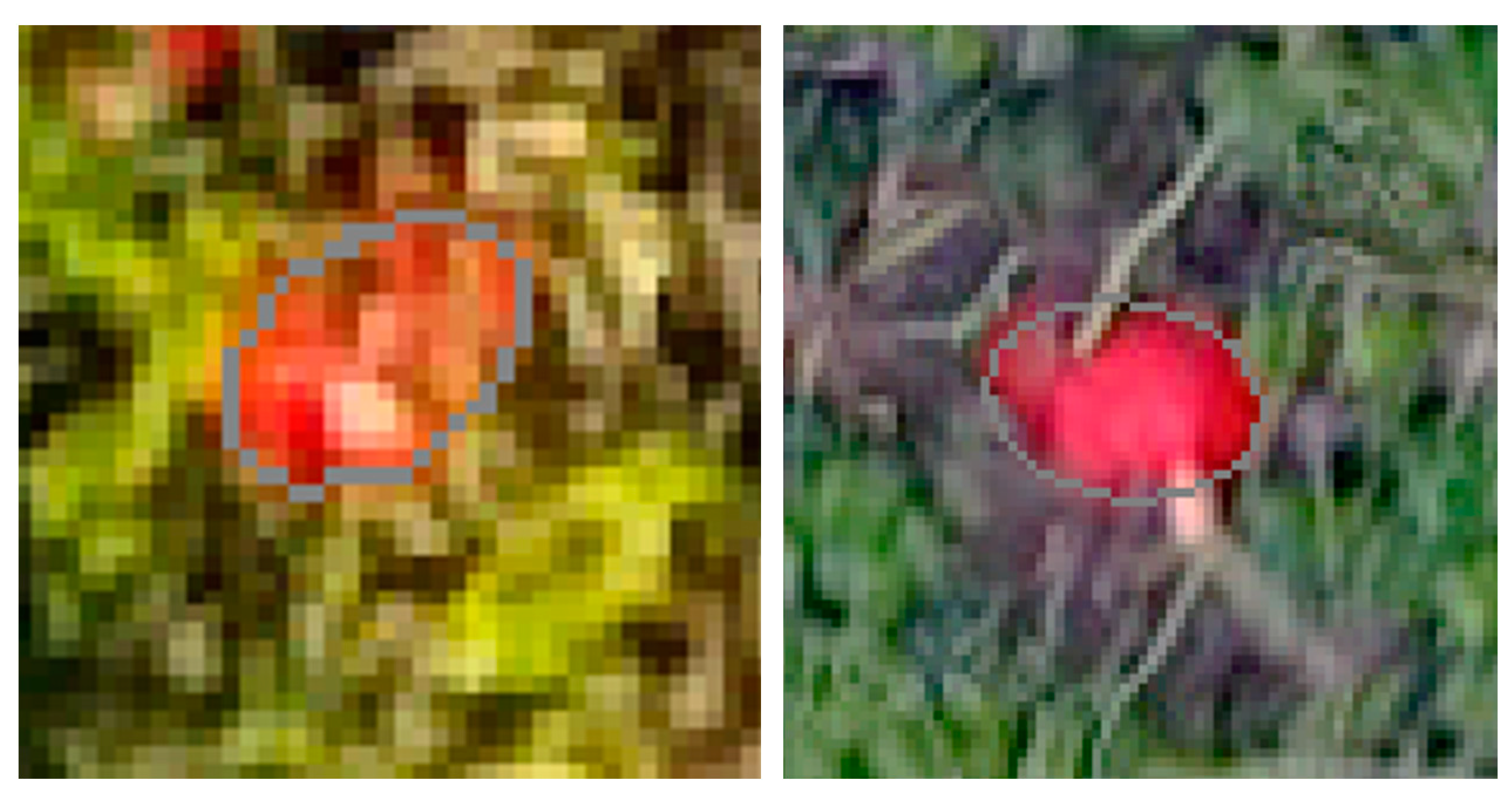 Sensors 21 00118 g008