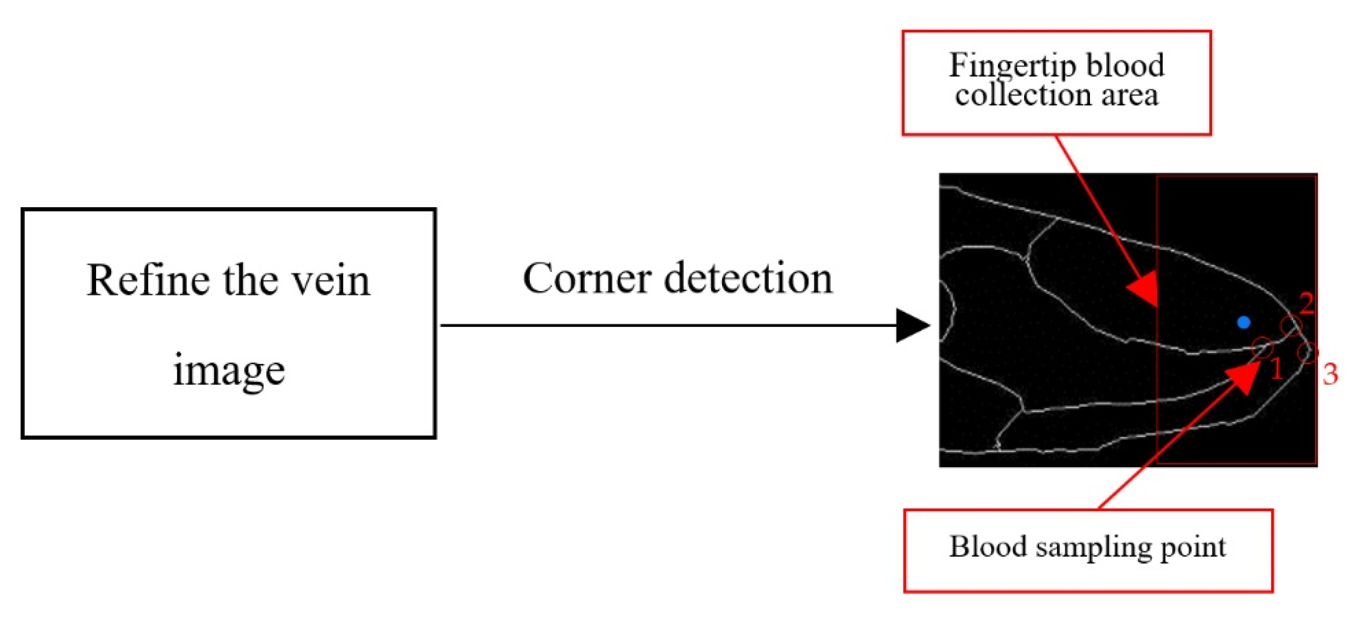 Sensors 21 00132 g006