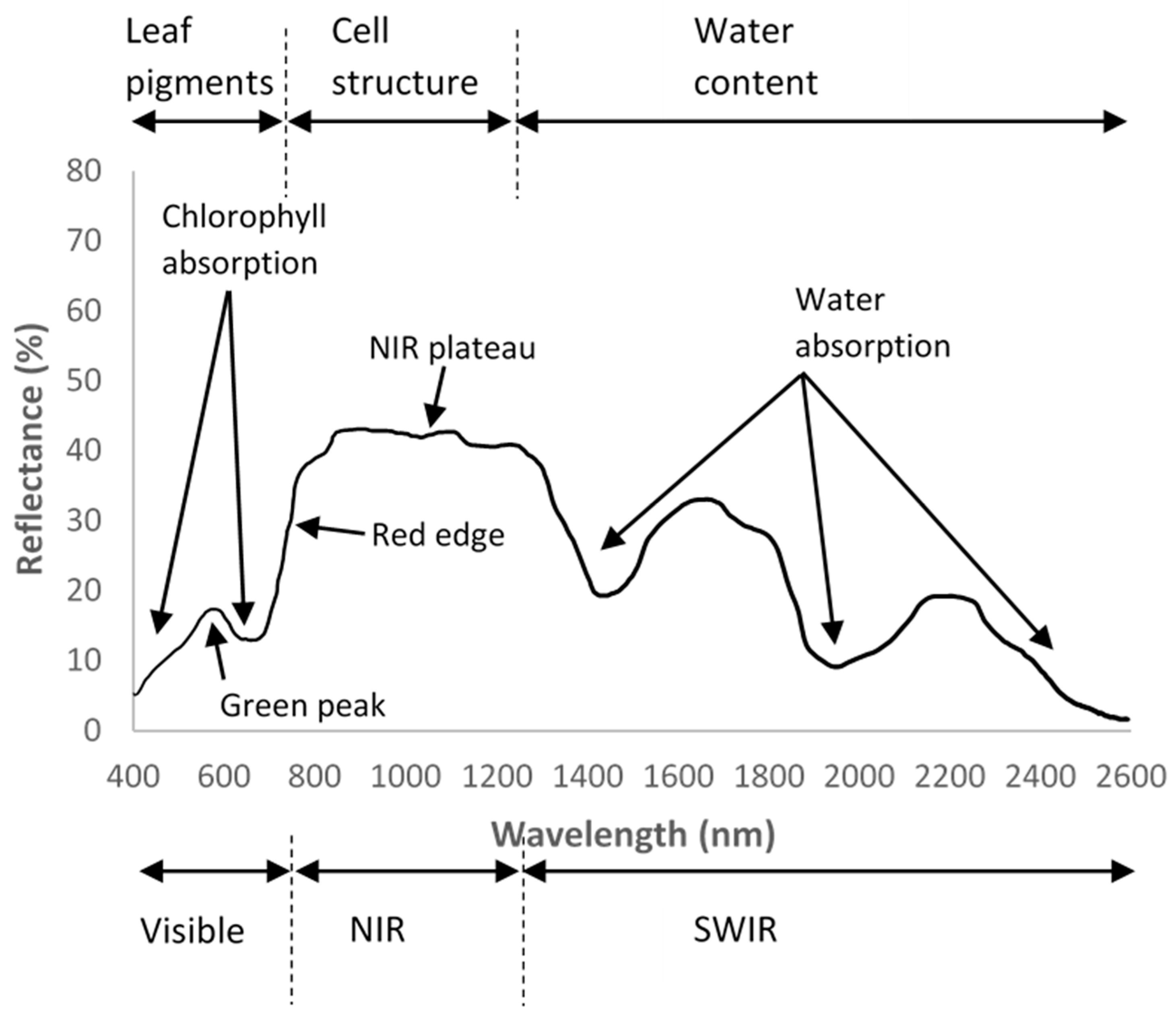 Sensors 21 00171 g002