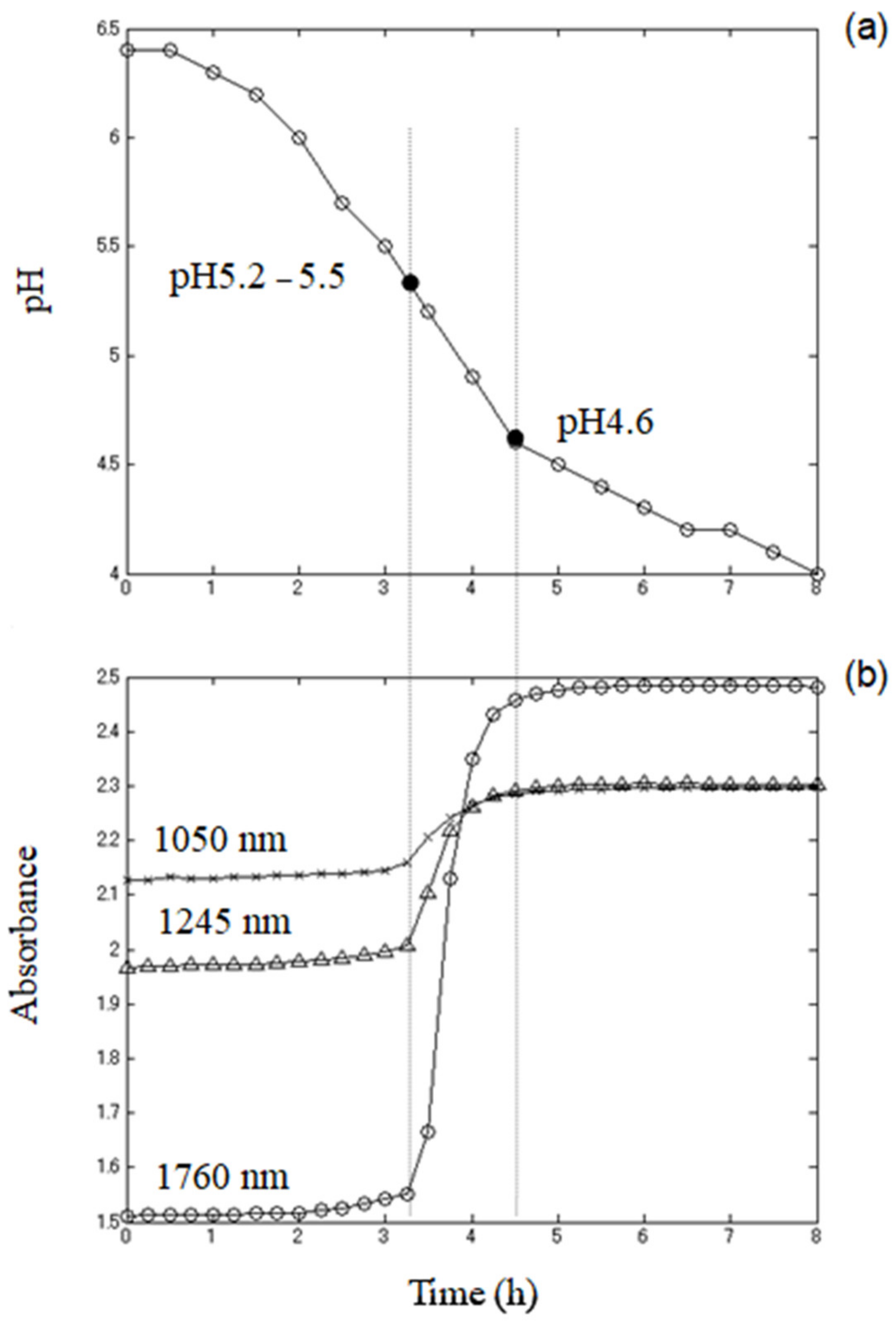 Sensors 21 00177 g003 Sensors 21 00177 g003