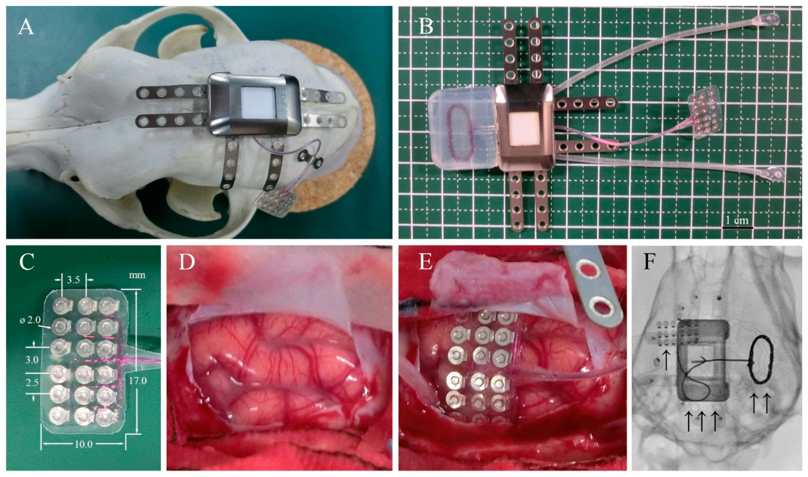 Sensors 21 00178 g001