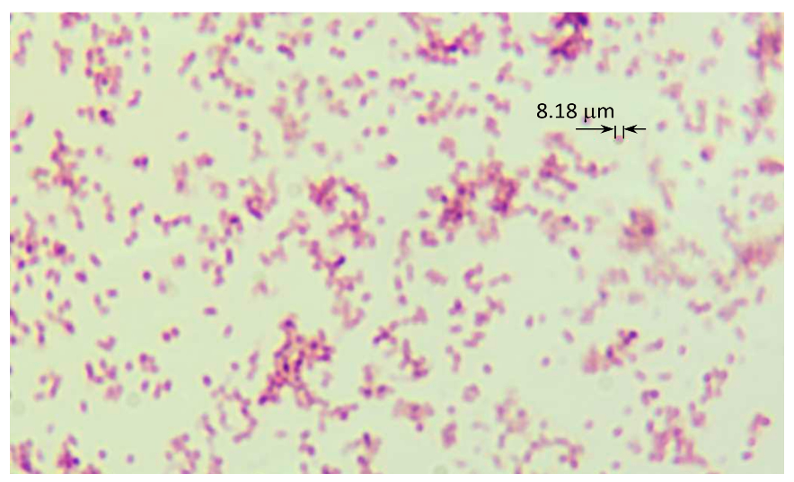 Sensors 21 00183 g005