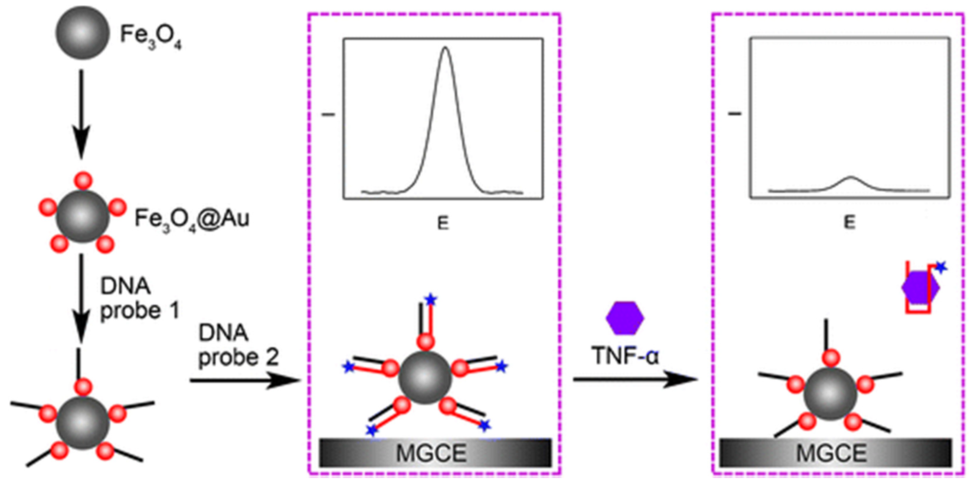 Sensors 21 00189 g002 Sensors 21 00189 g002
