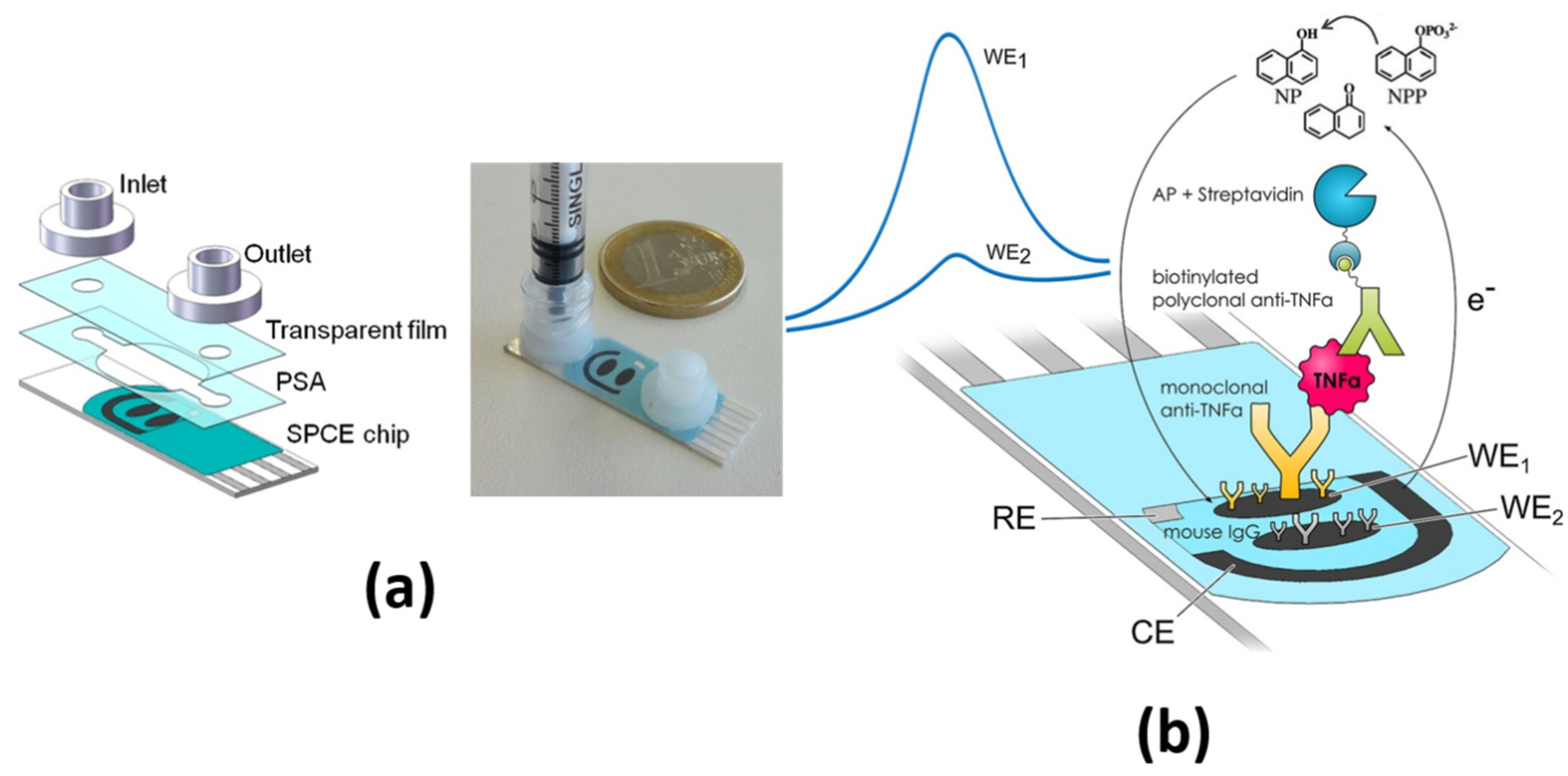Sensors 21 00189 g003 Sensors 21 00189 g003