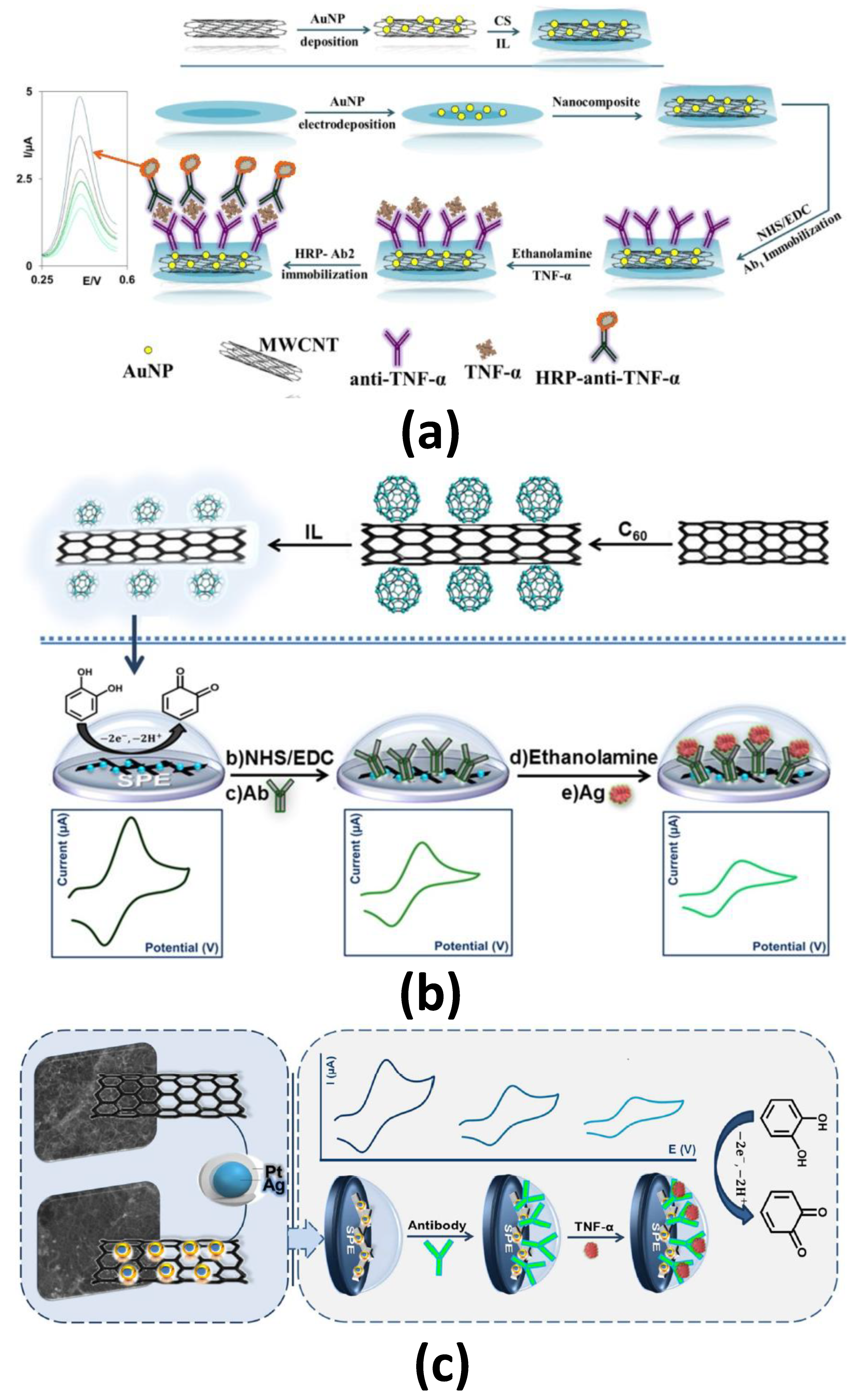 Sensors 21 00189 g007 Sensors 21 00189 g007