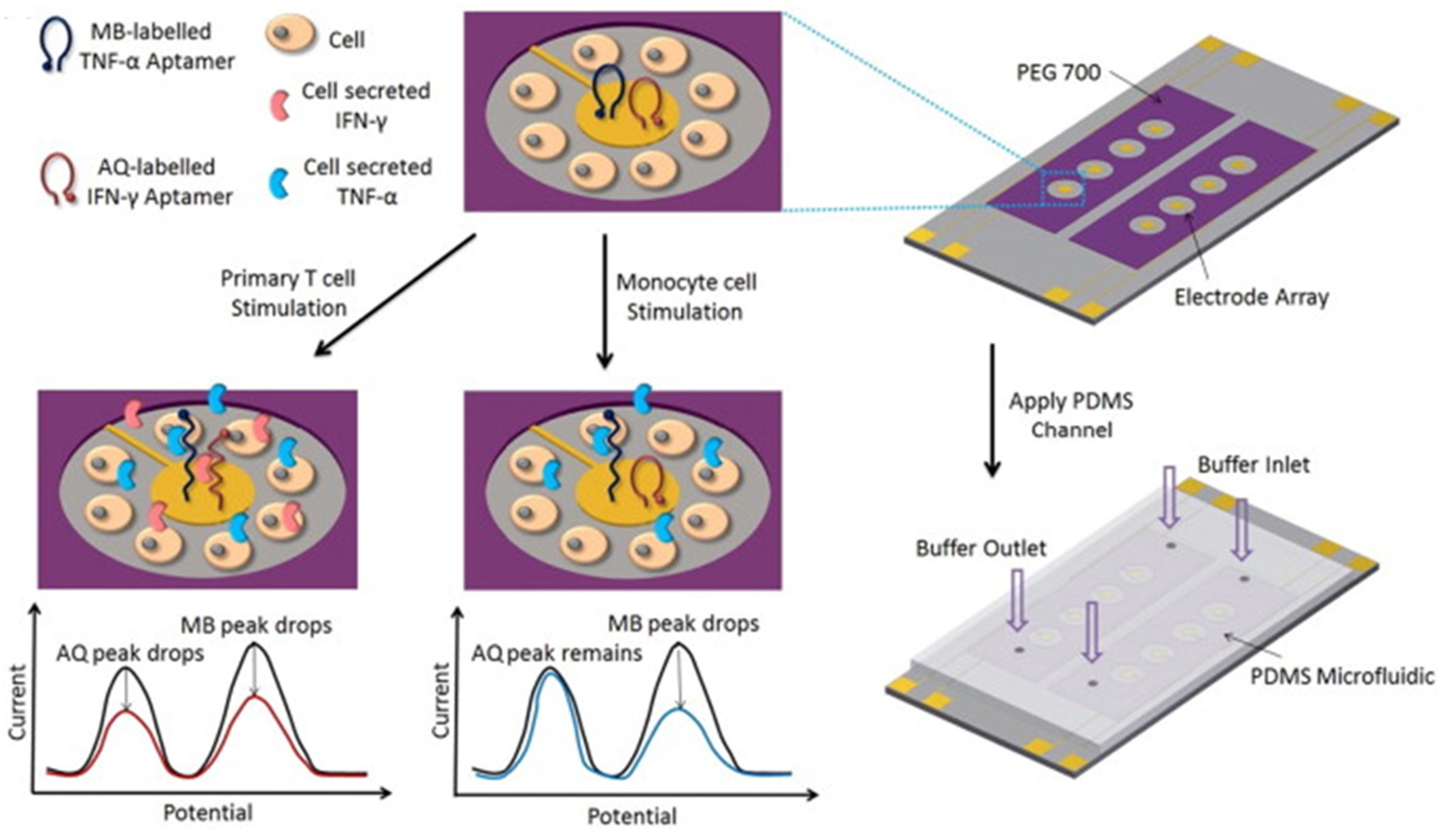 Sensors 21 00189 g010 Sensors 21 00189 g010