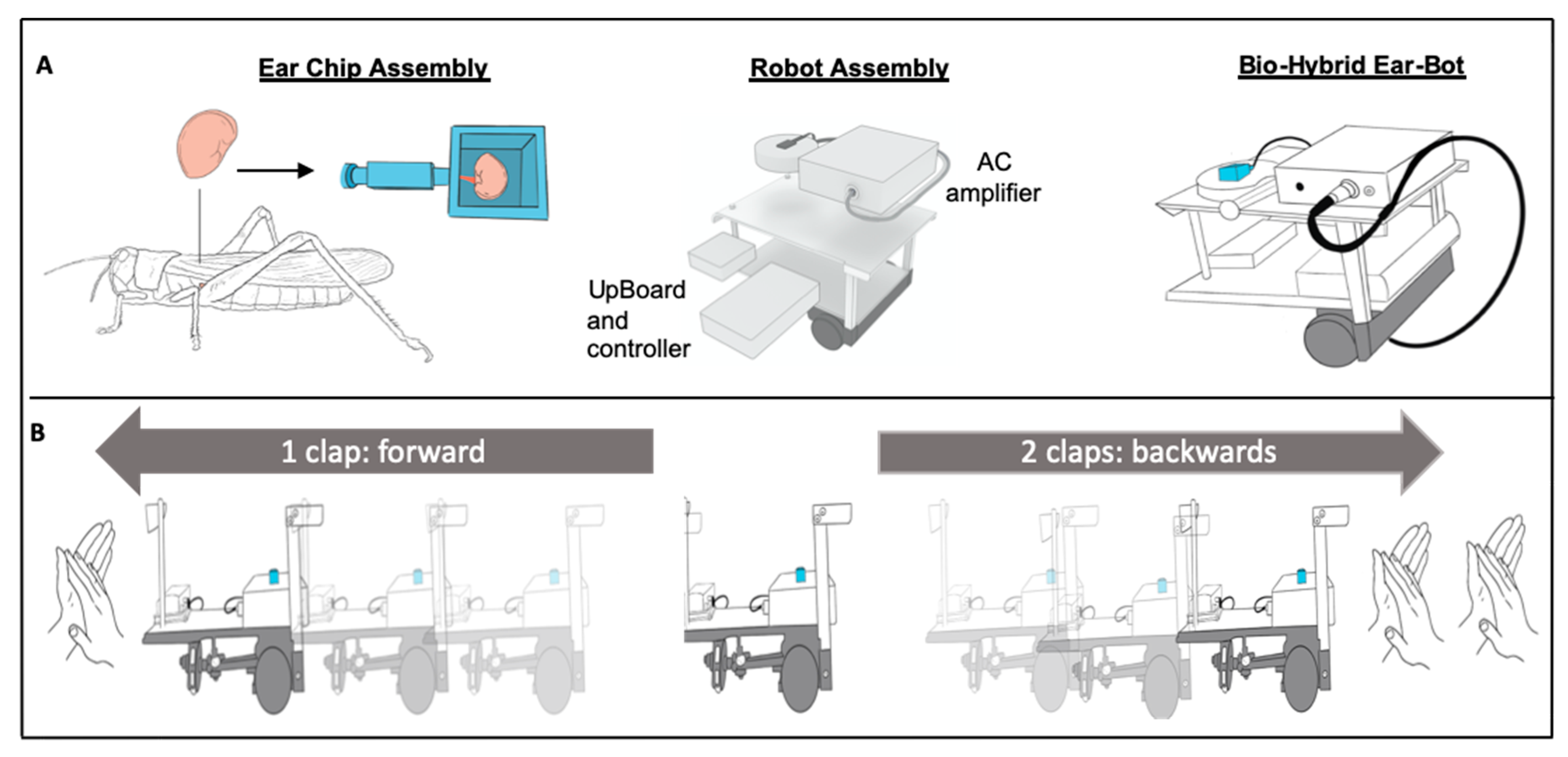 Sensors 21 00228 g001