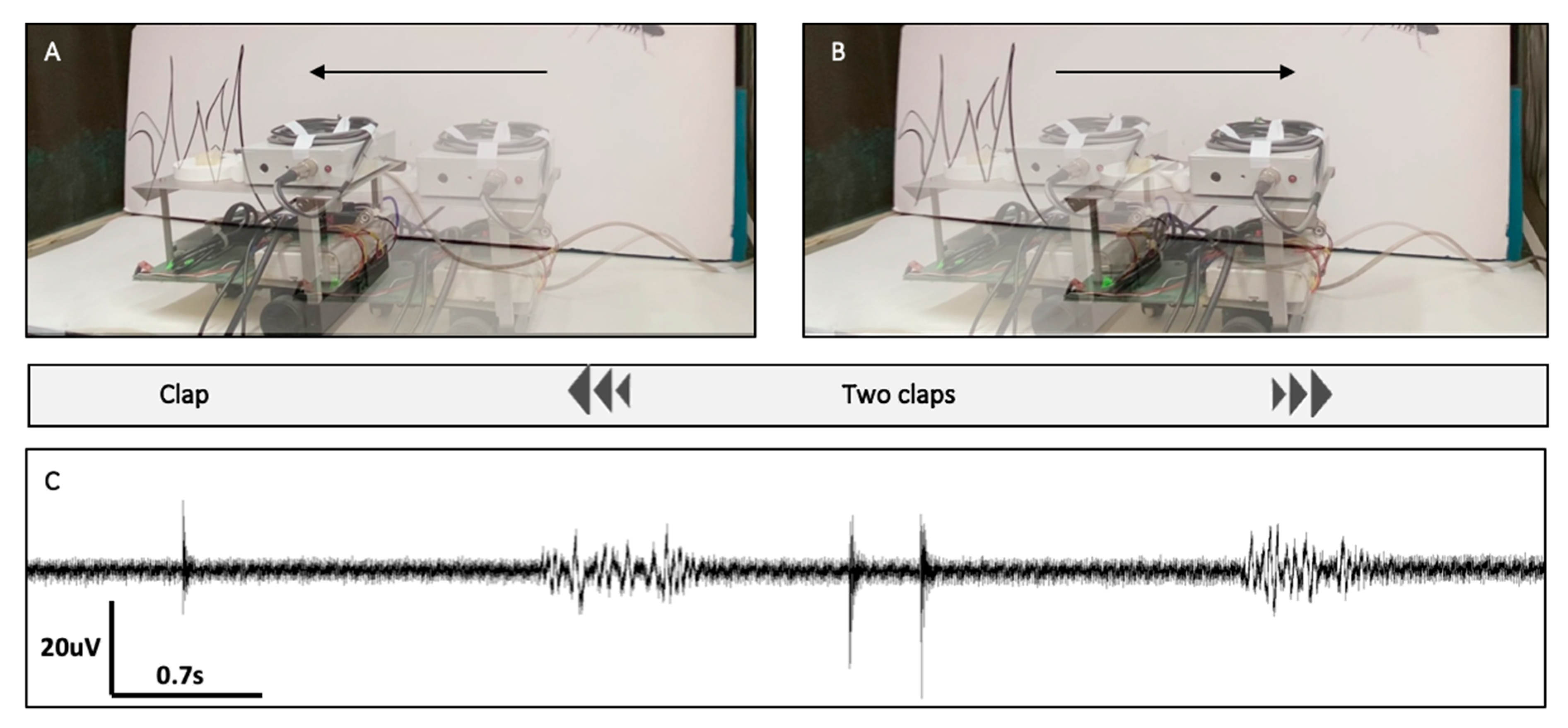 Sensors 21 00228 g005