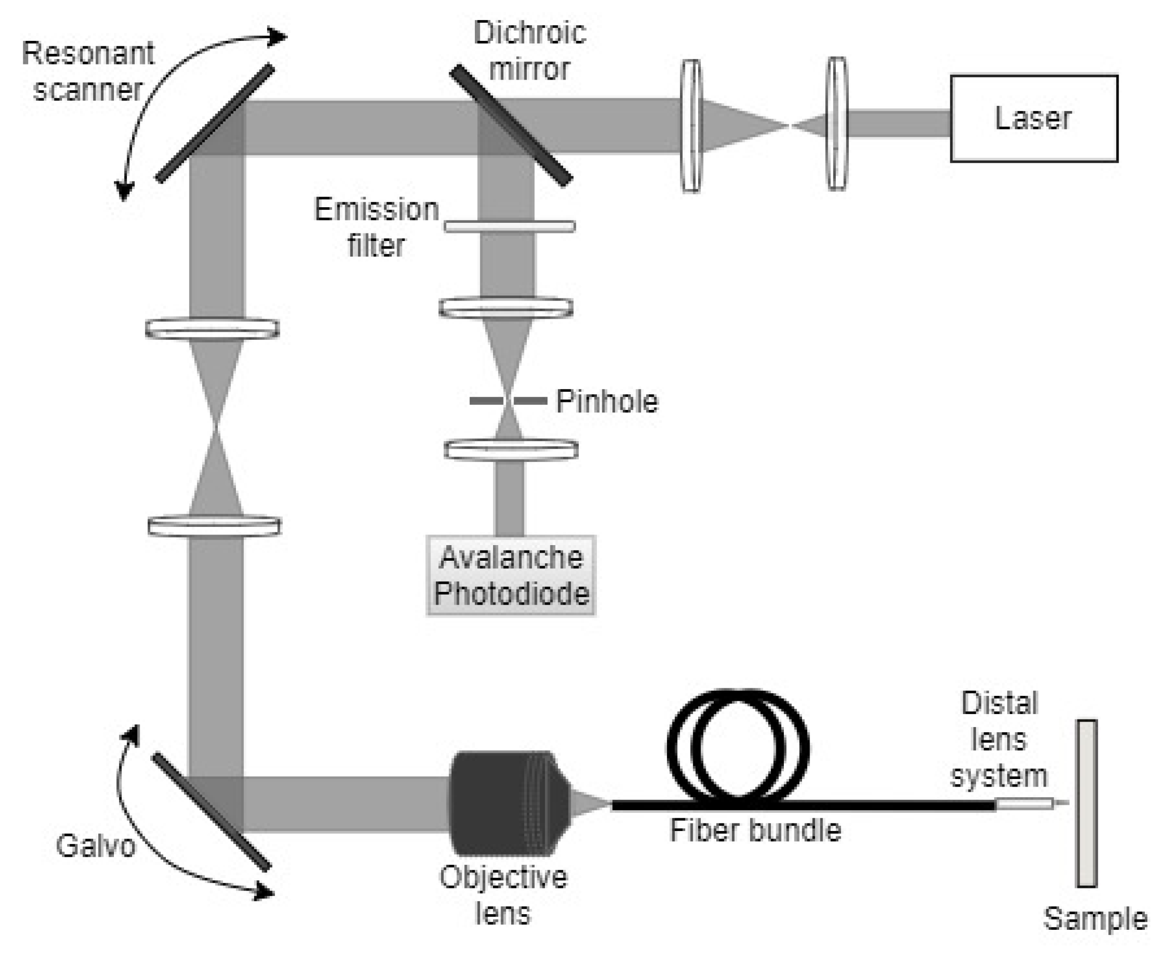 Sensors, Free Full-Text