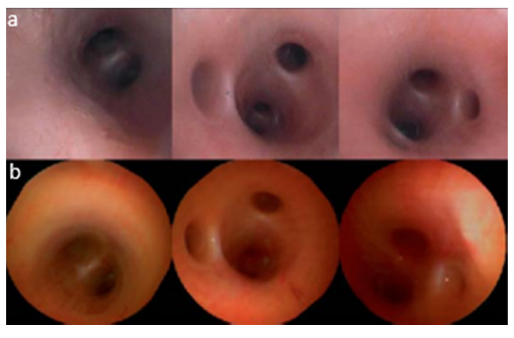 Sensors 21 00251 g011 Sensors 21 00251 g011