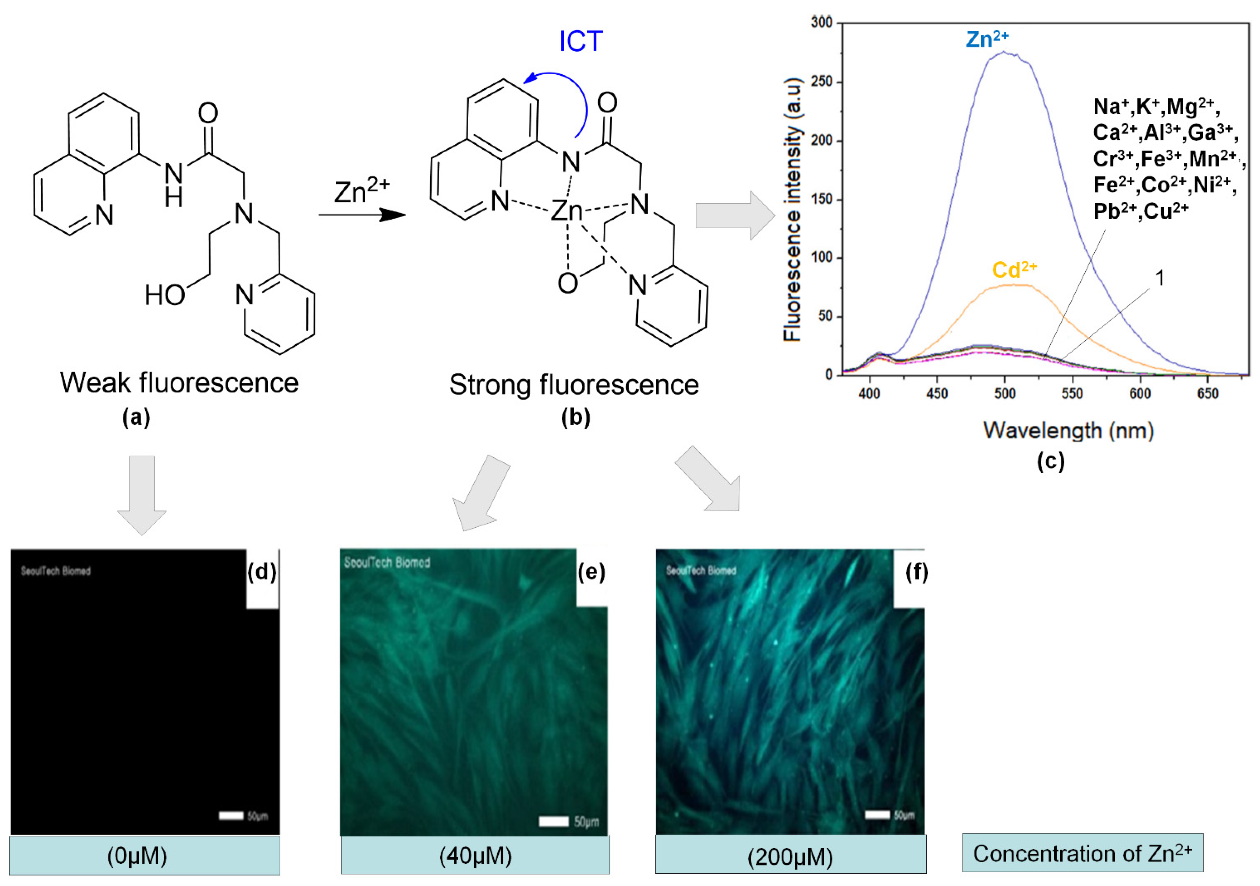 Sensors 21 00311 g012 Sensors 21 00311 g012