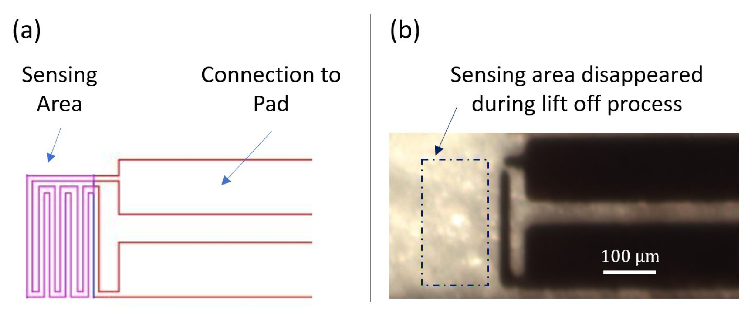 Sensors 21 00318 g011 Sensors 21 00318 g011