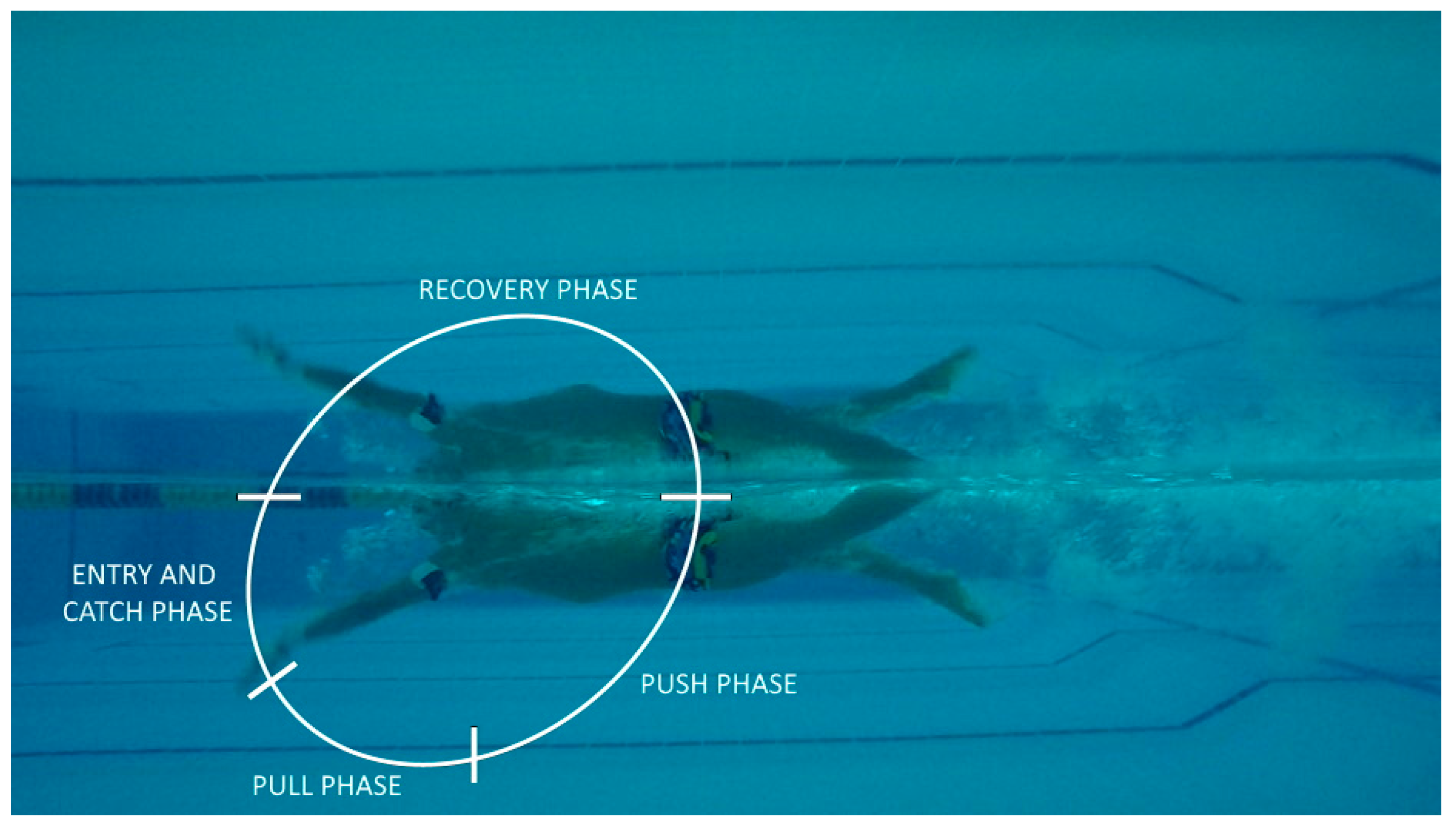 Sensors 21 00324 g001