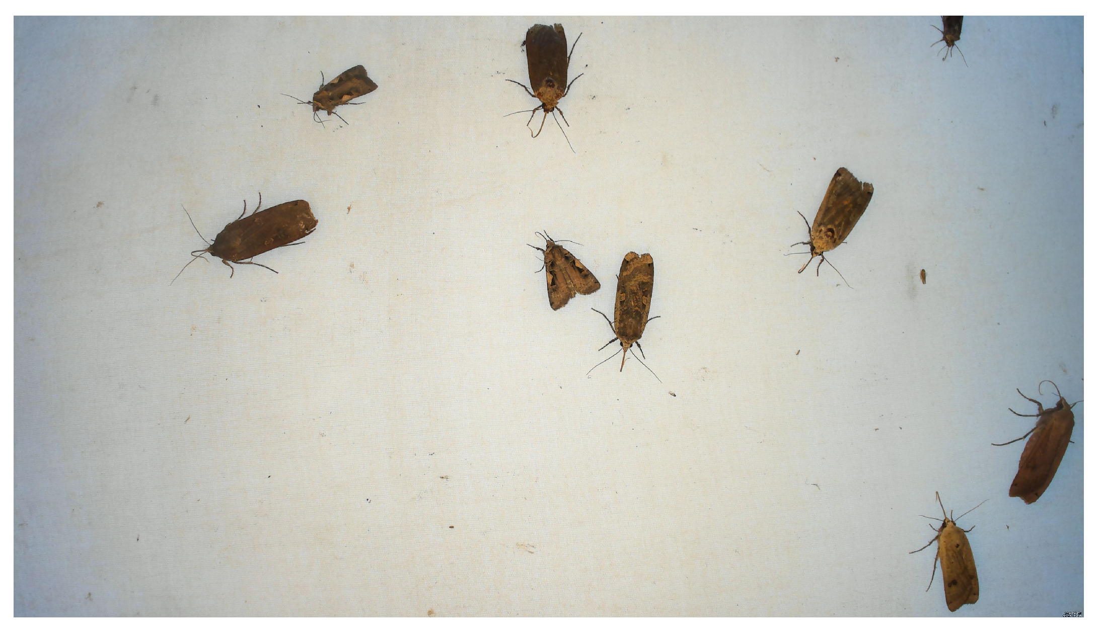 Sensors 21 00343 g002 Sensors 21 00343 g002