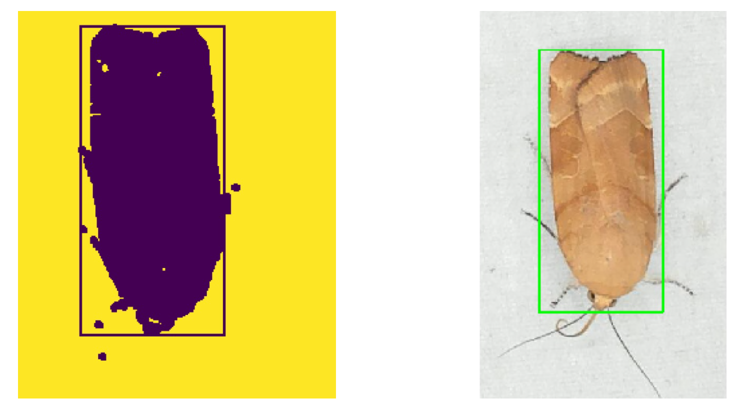 Sensors 21 00343 g004 Sensors 21 00343 g004