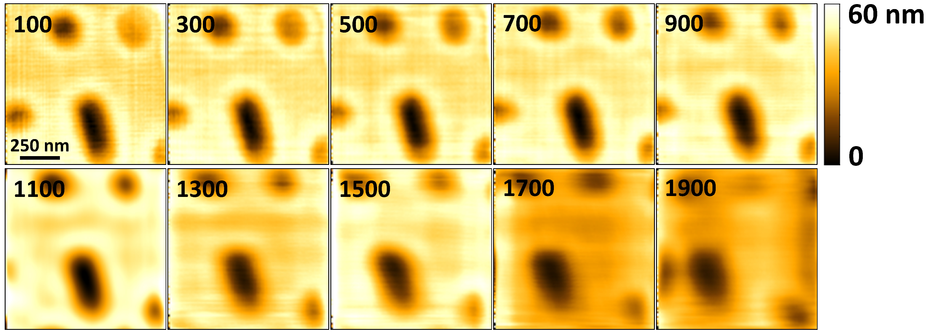 Sensors 21 00362 g008